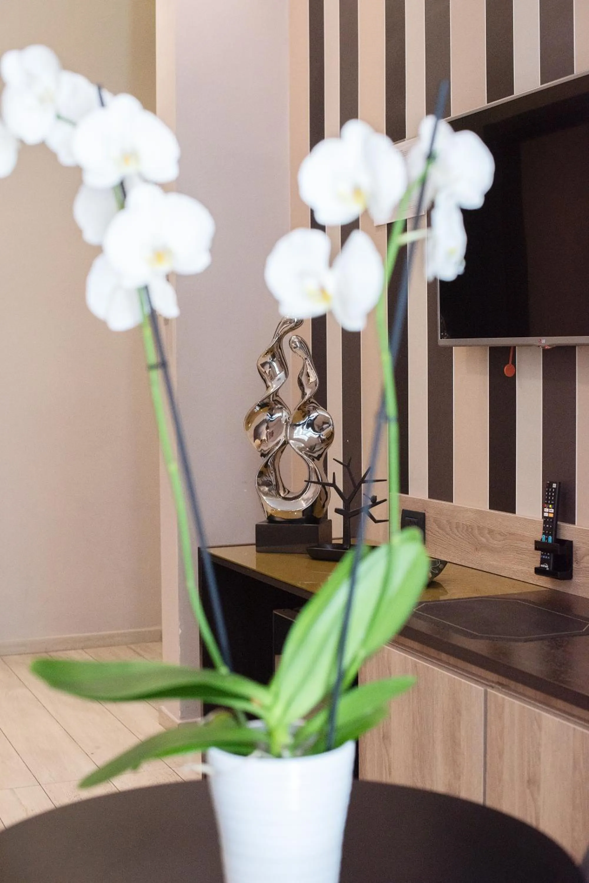 Photo of the whole room in Neapolis Lifestyle