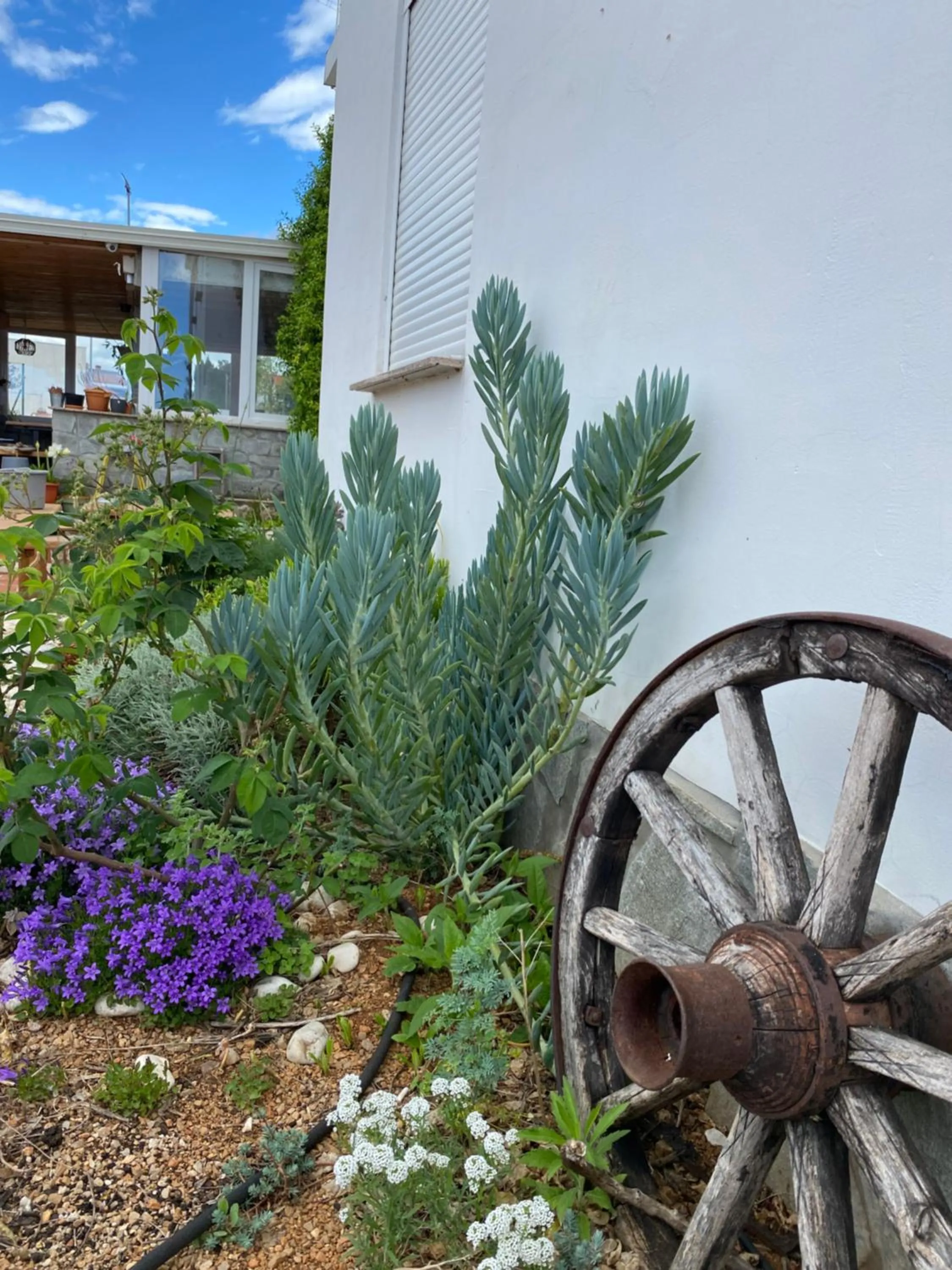 Accommodation with an experience!!! Hostel Kantun