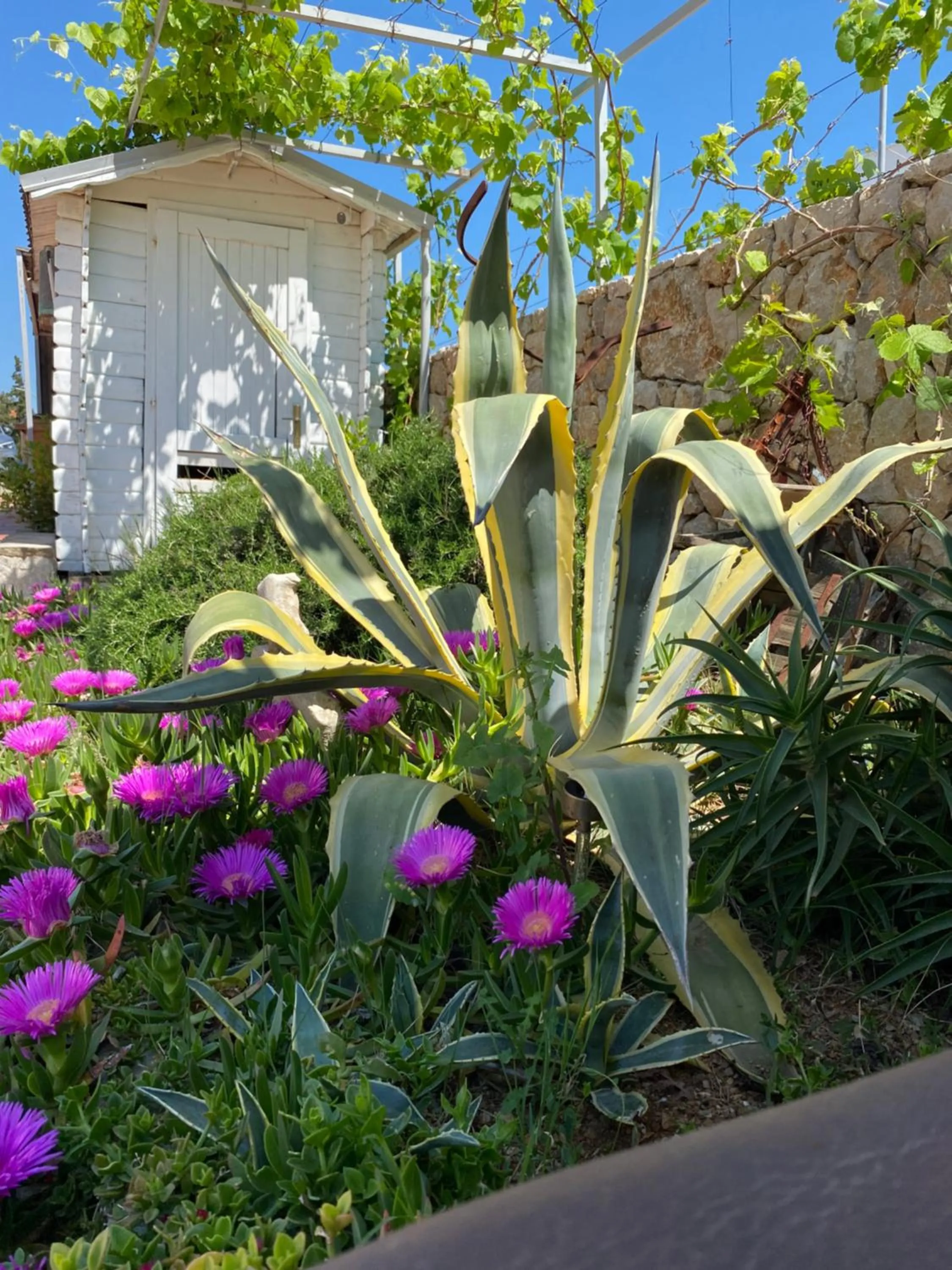 Accommodation with an experience!!! Hostel Kantun