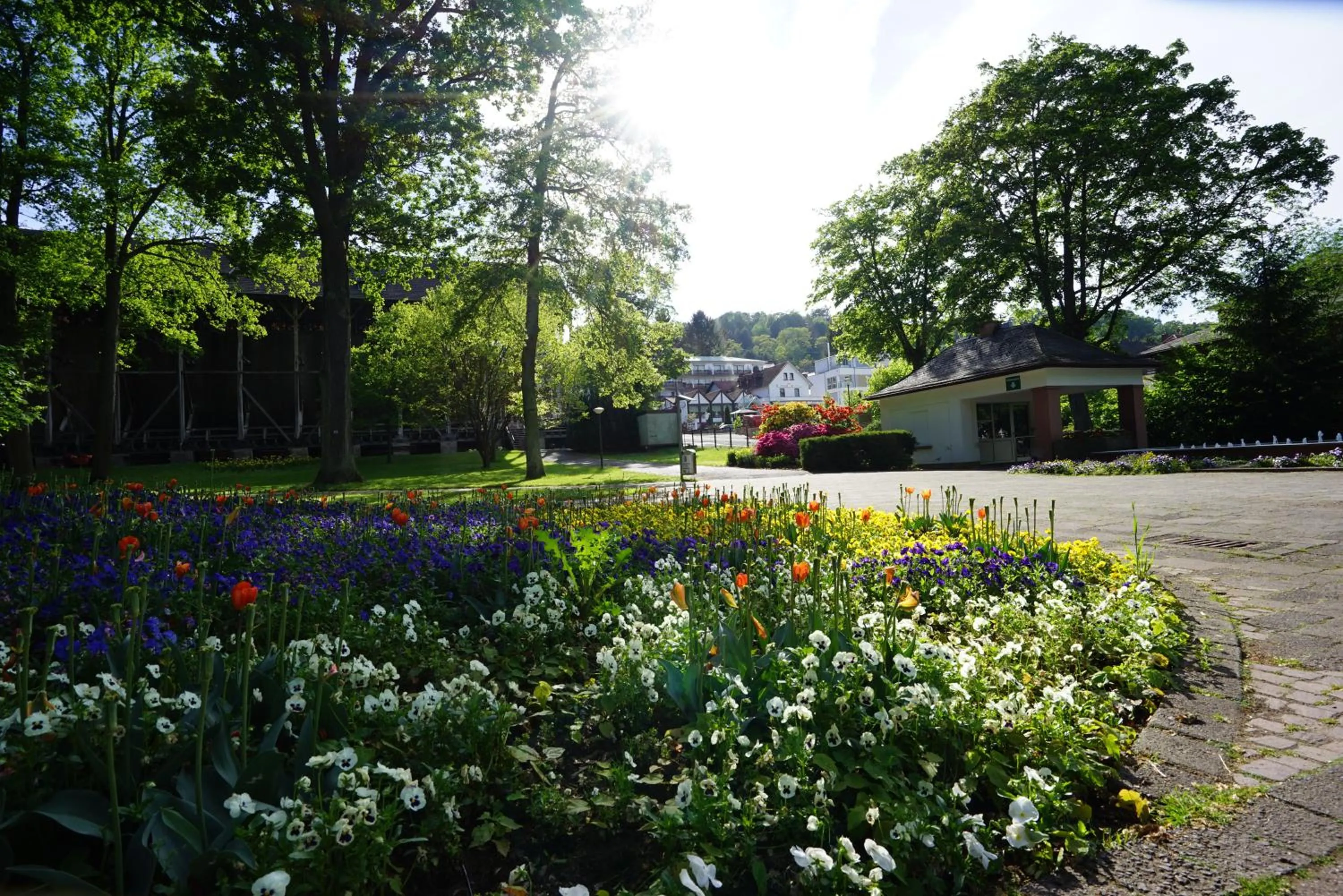 Spring in Hotel Lorösch