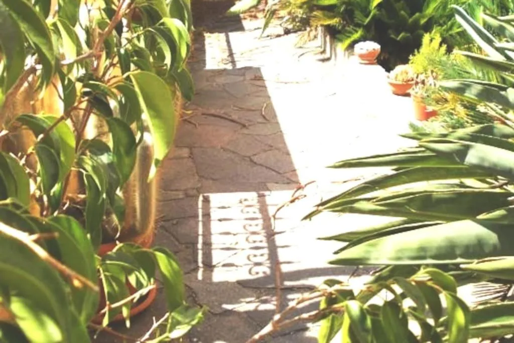 Garden in ITALIA GUESTHOUSe