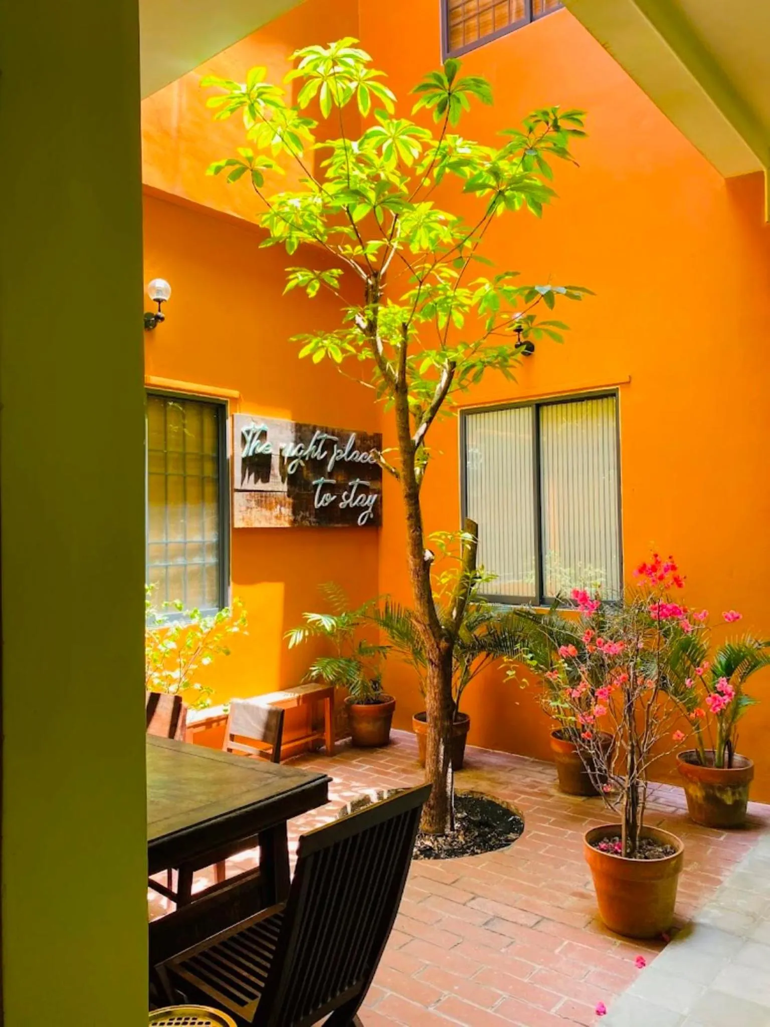 Garden view in Chí Hiếu Homestay