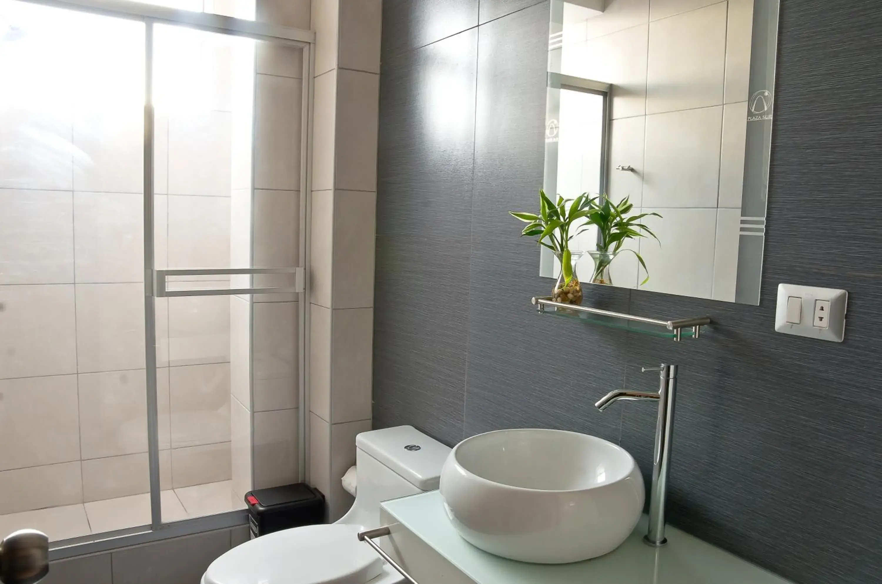 Single Room in Plaza Sur Hotel & Suites Single Room in Plaza Sur Hotel & Suites