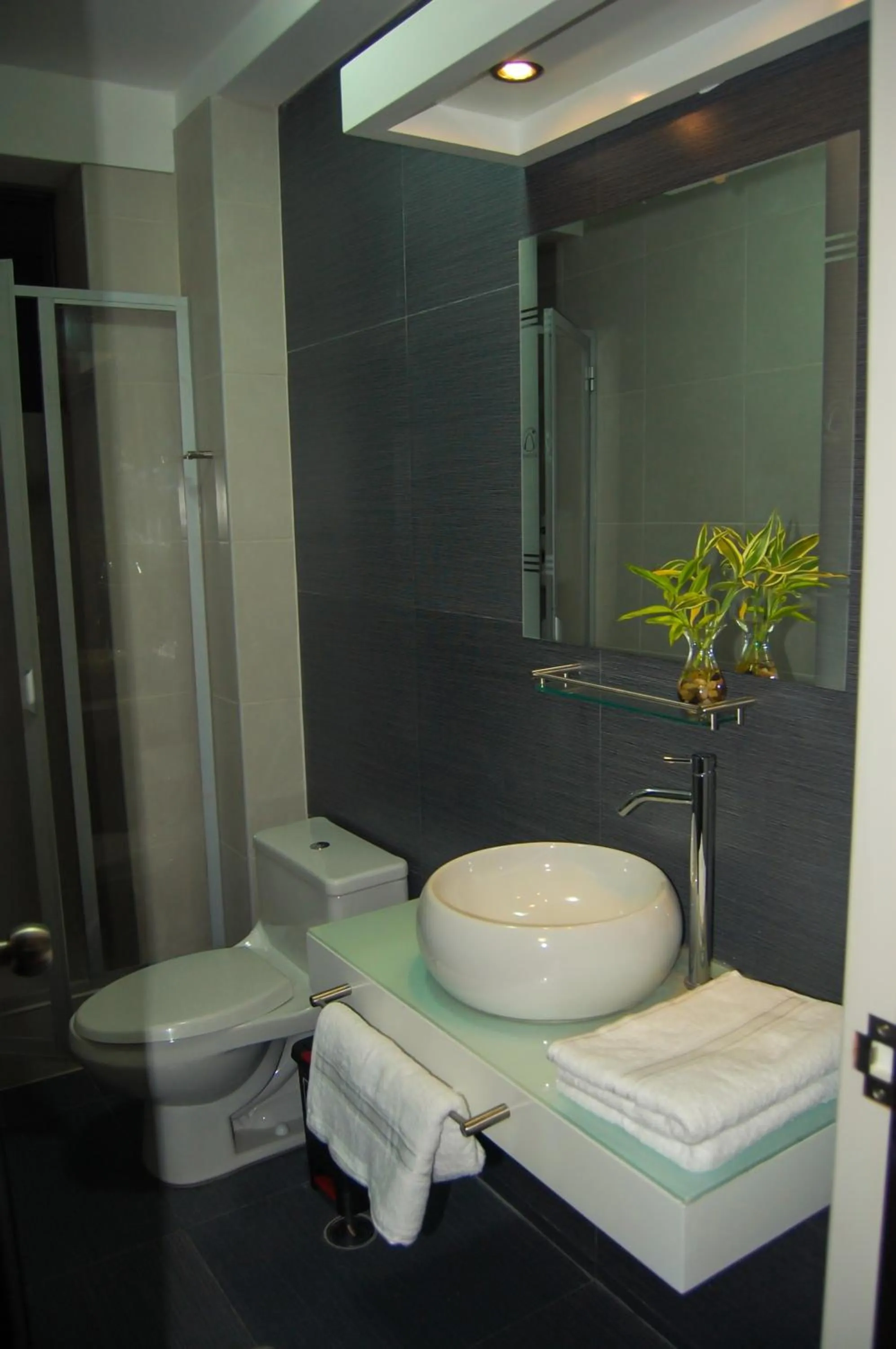 Shower in Plaza Sur Hotel & Suites