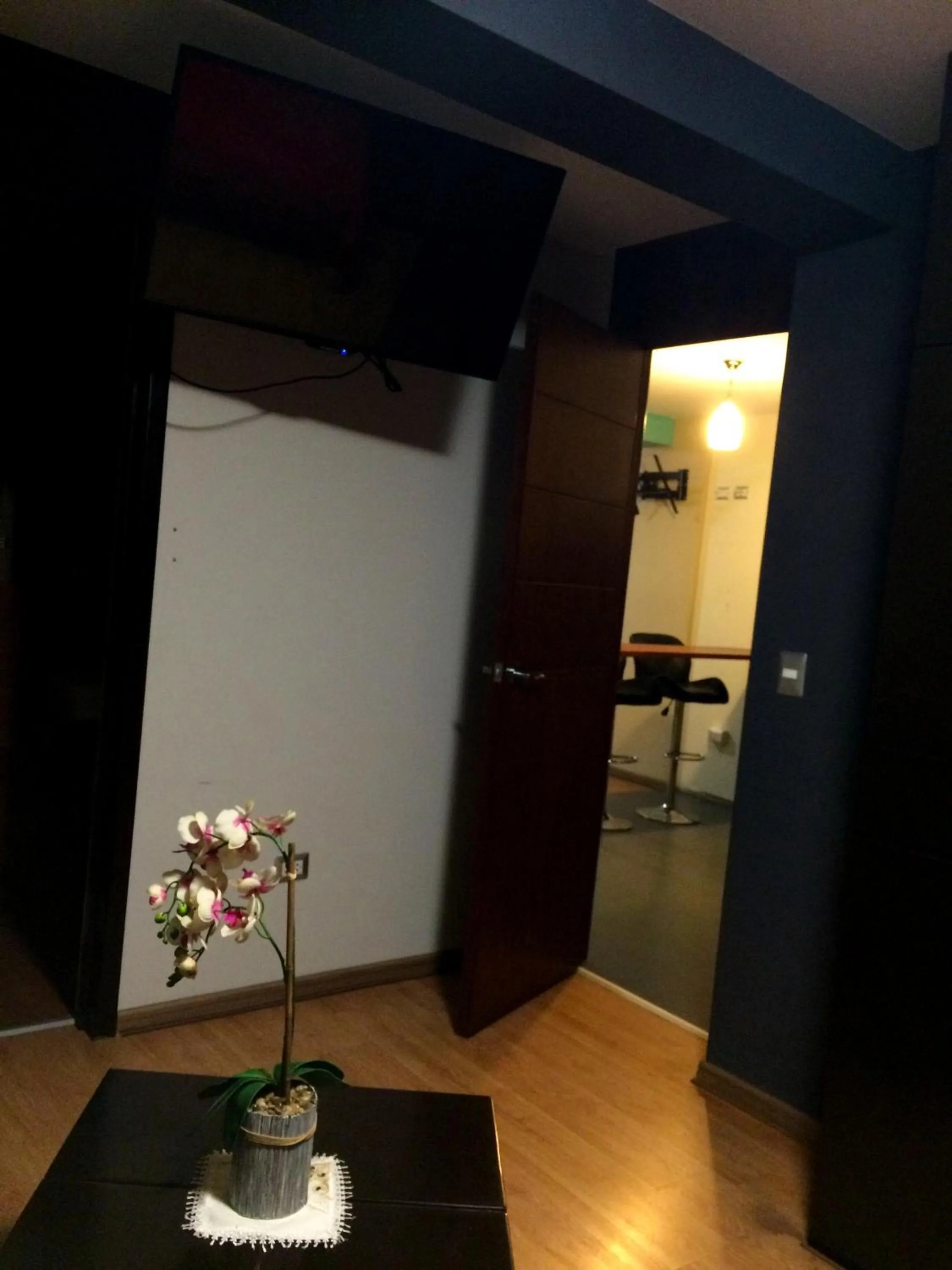 TV and multimedia in Plaza Sur Hotel & Suites