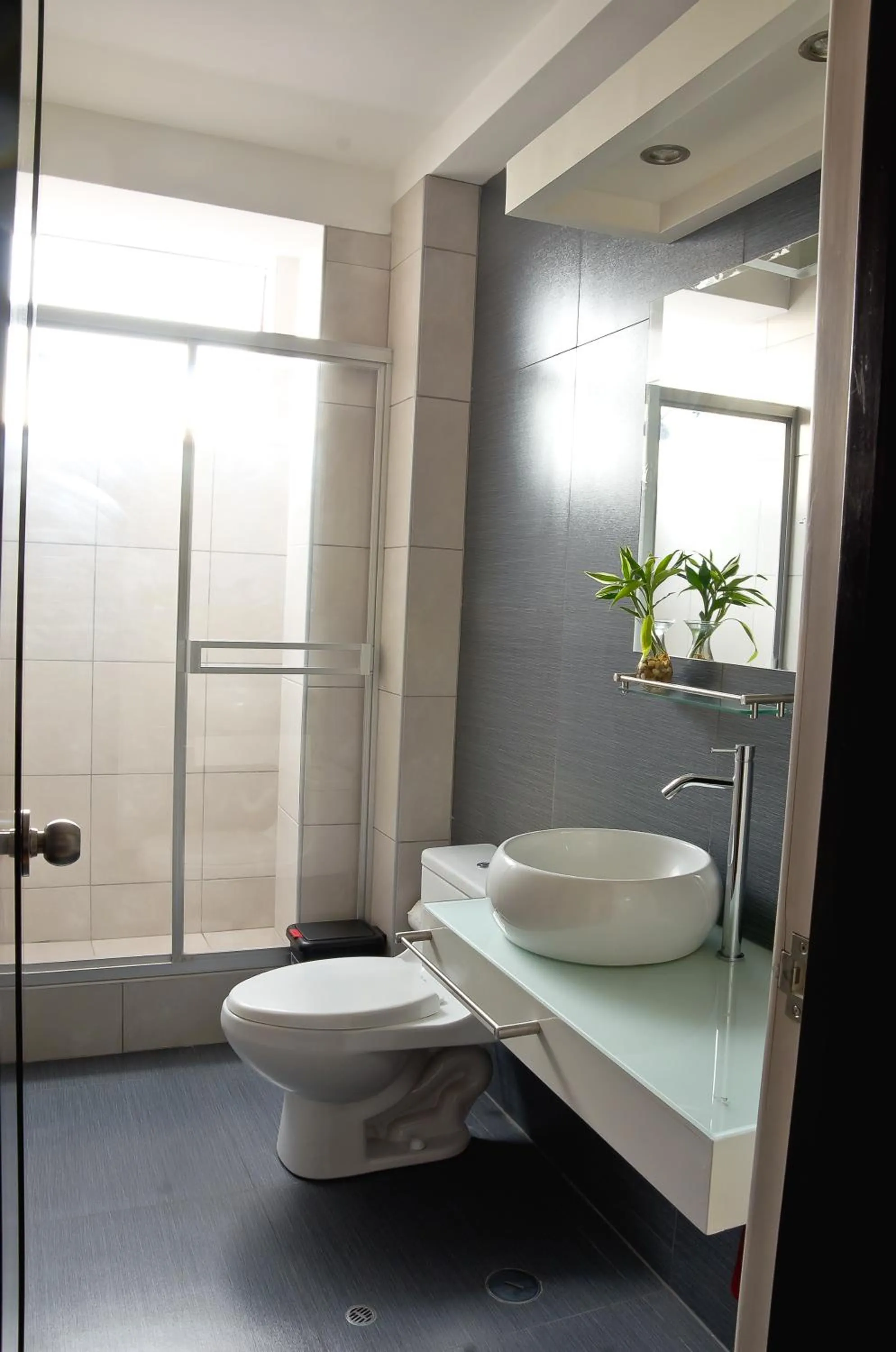 Shower in Plaza Sur Hotel & Suites