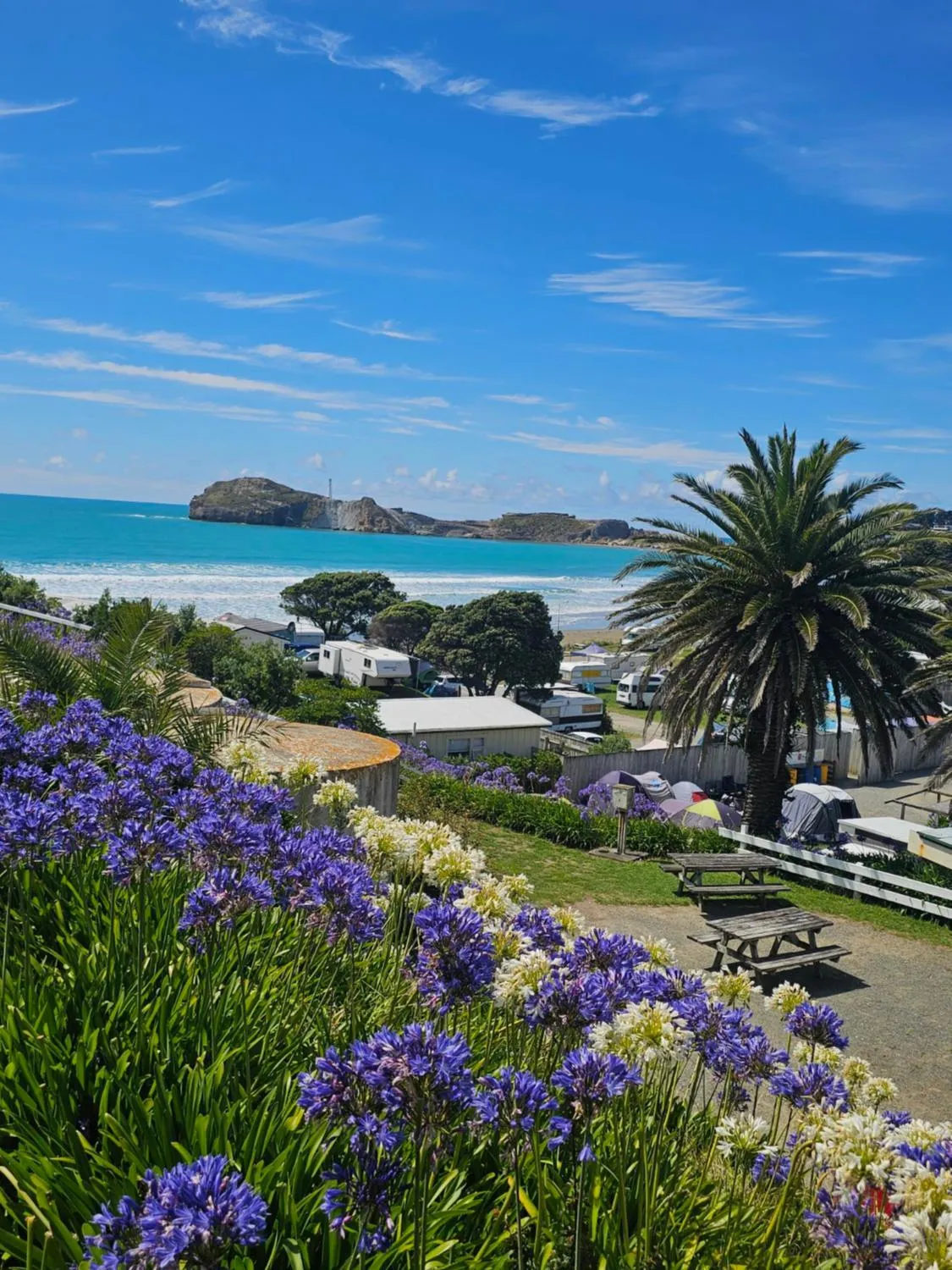 Castlepoint Holiday Park & Motels
