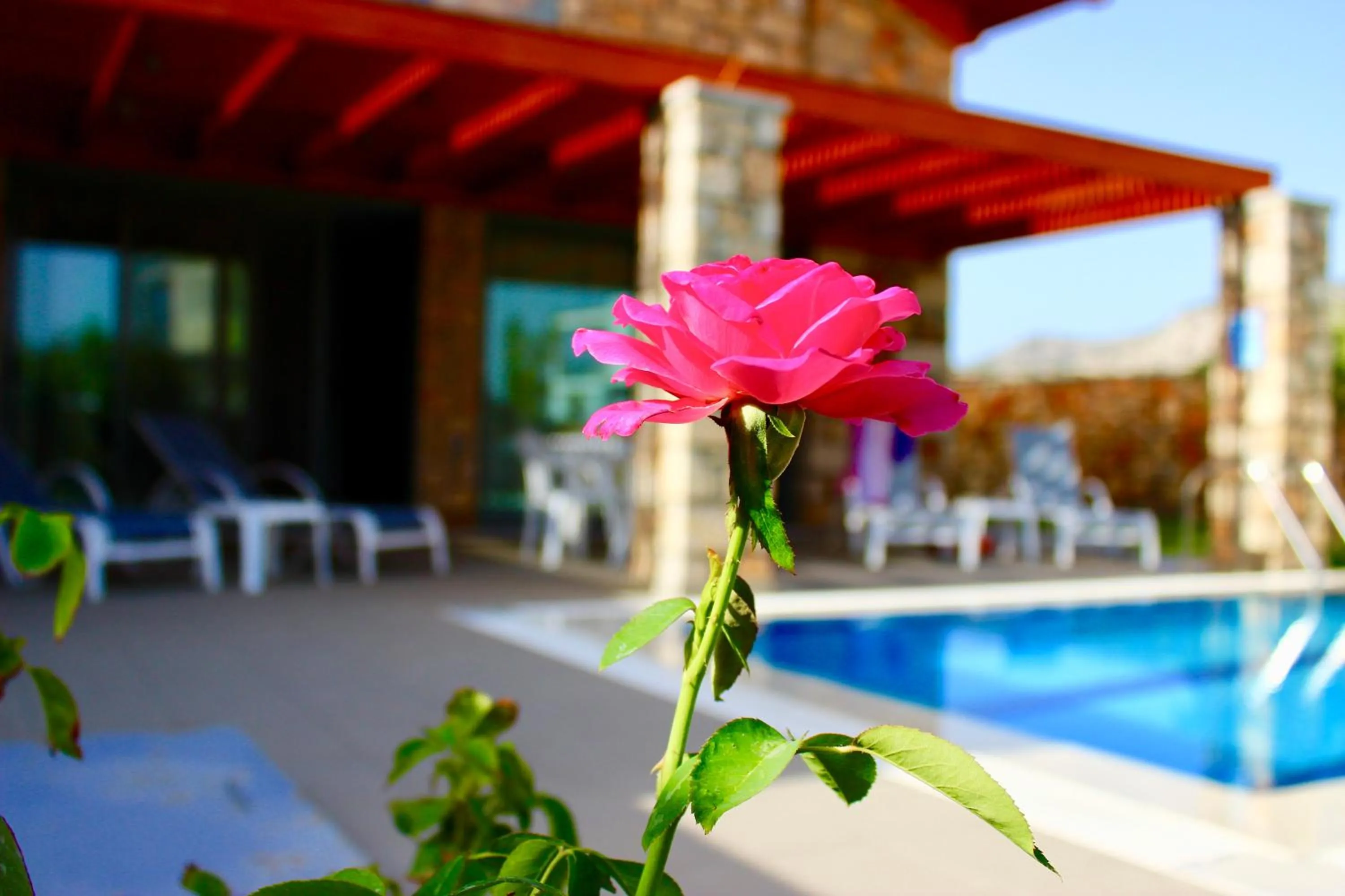 Patio in Estrella Villas