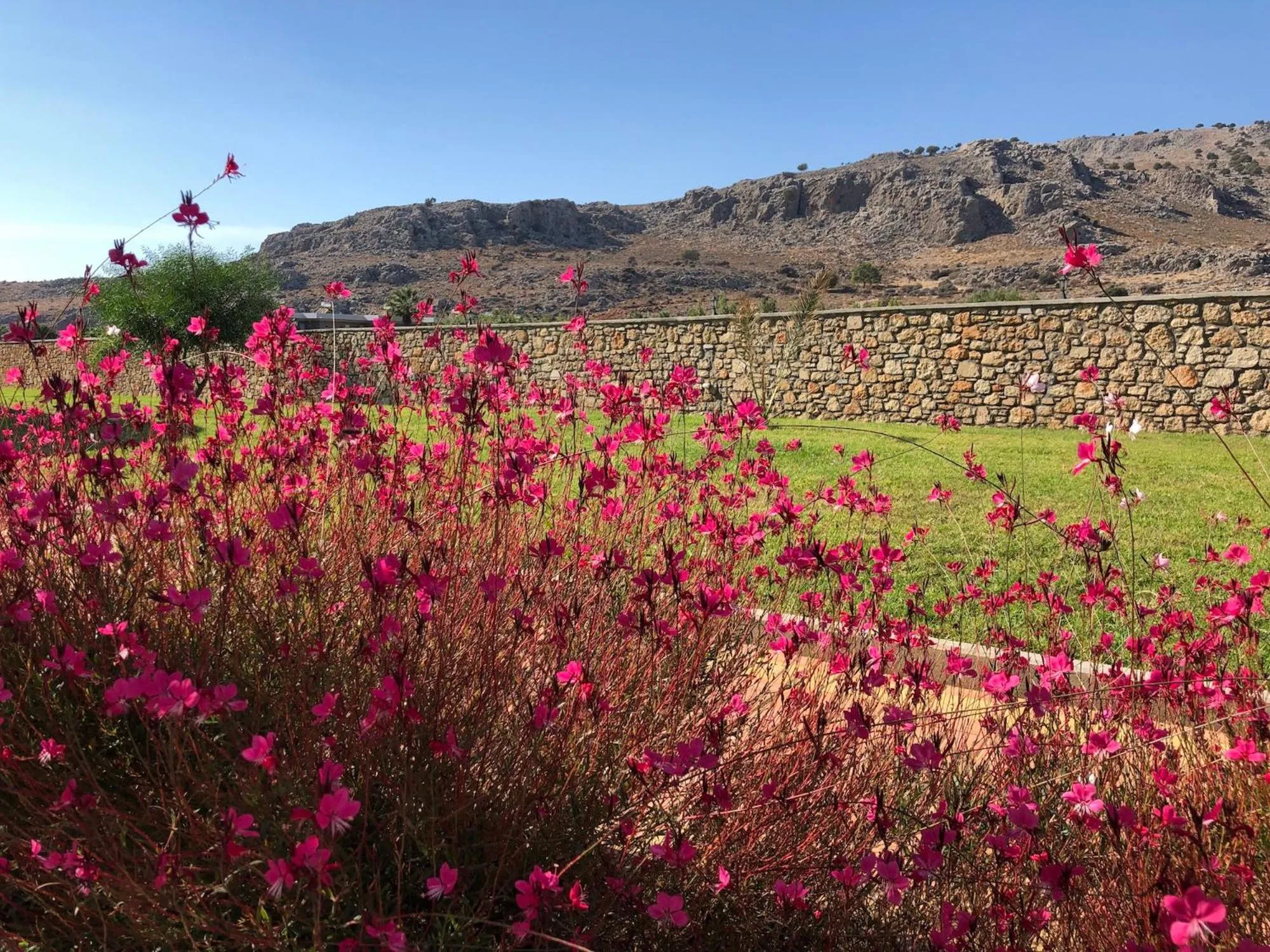 Day in Estrella Villas