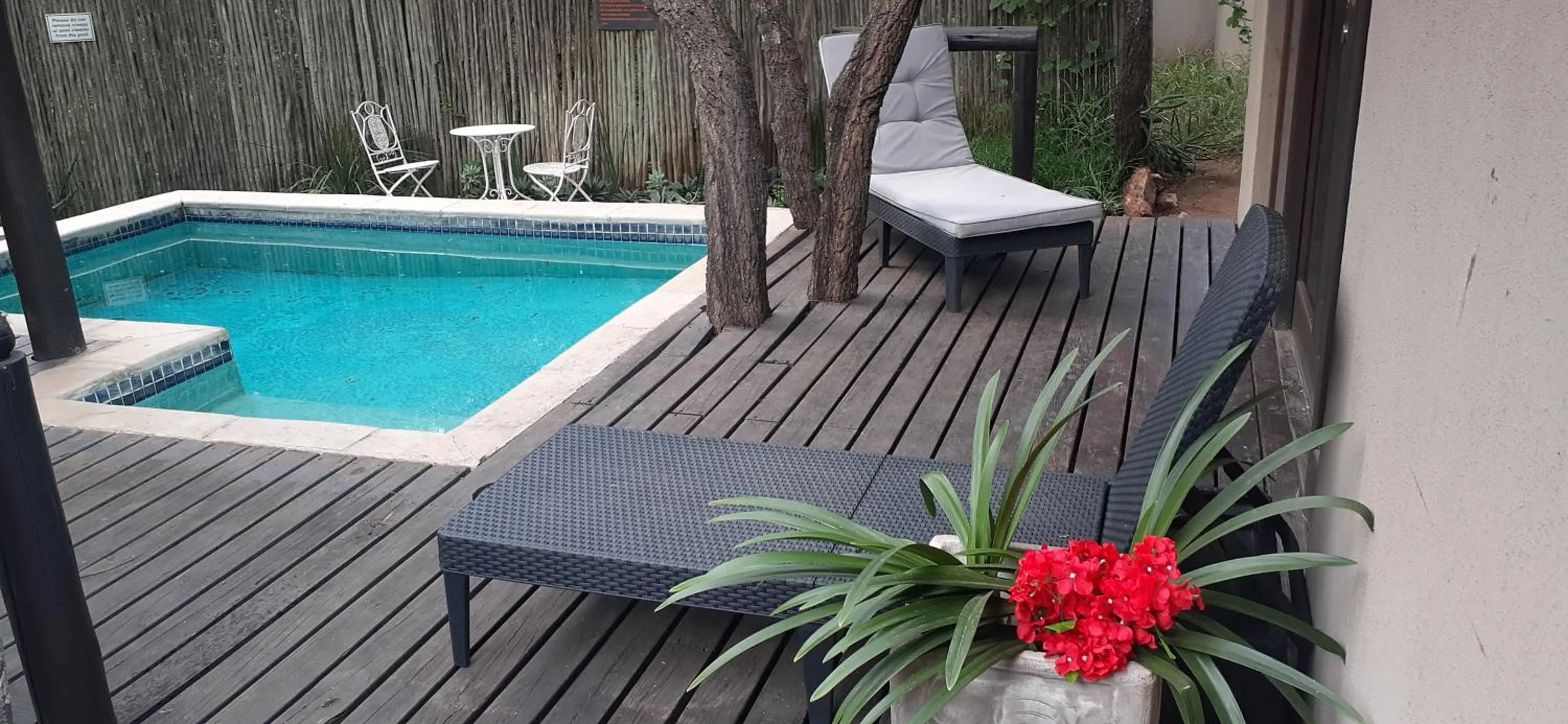 Swimming pool in Hoedspruit Raptors Lodge N16