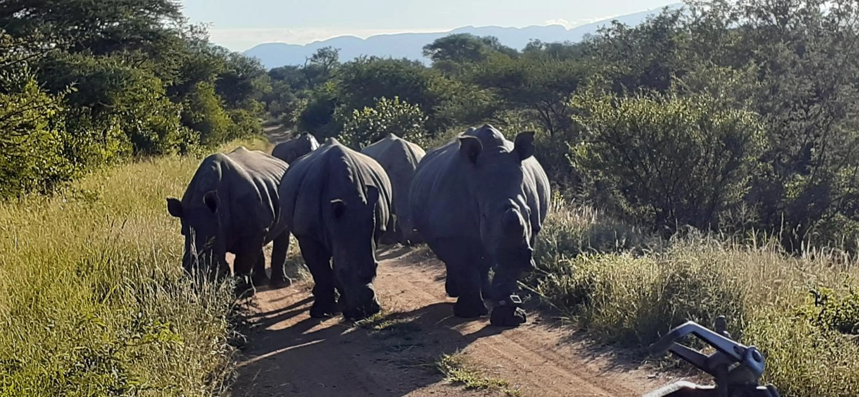 Hoedspruit Raptors Lodge N16