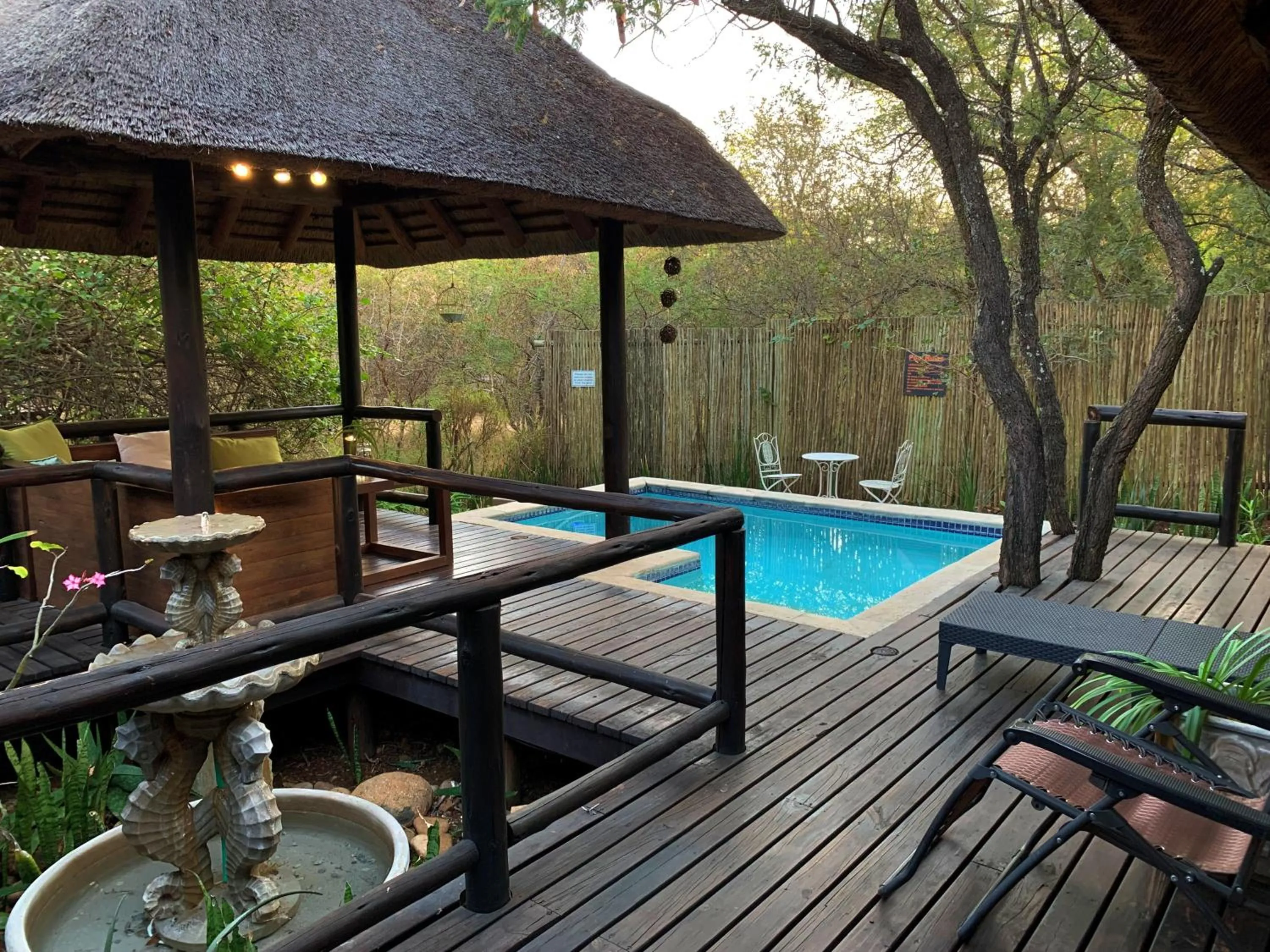 Pool view in Hoedspruit Raptors Lodge N16
