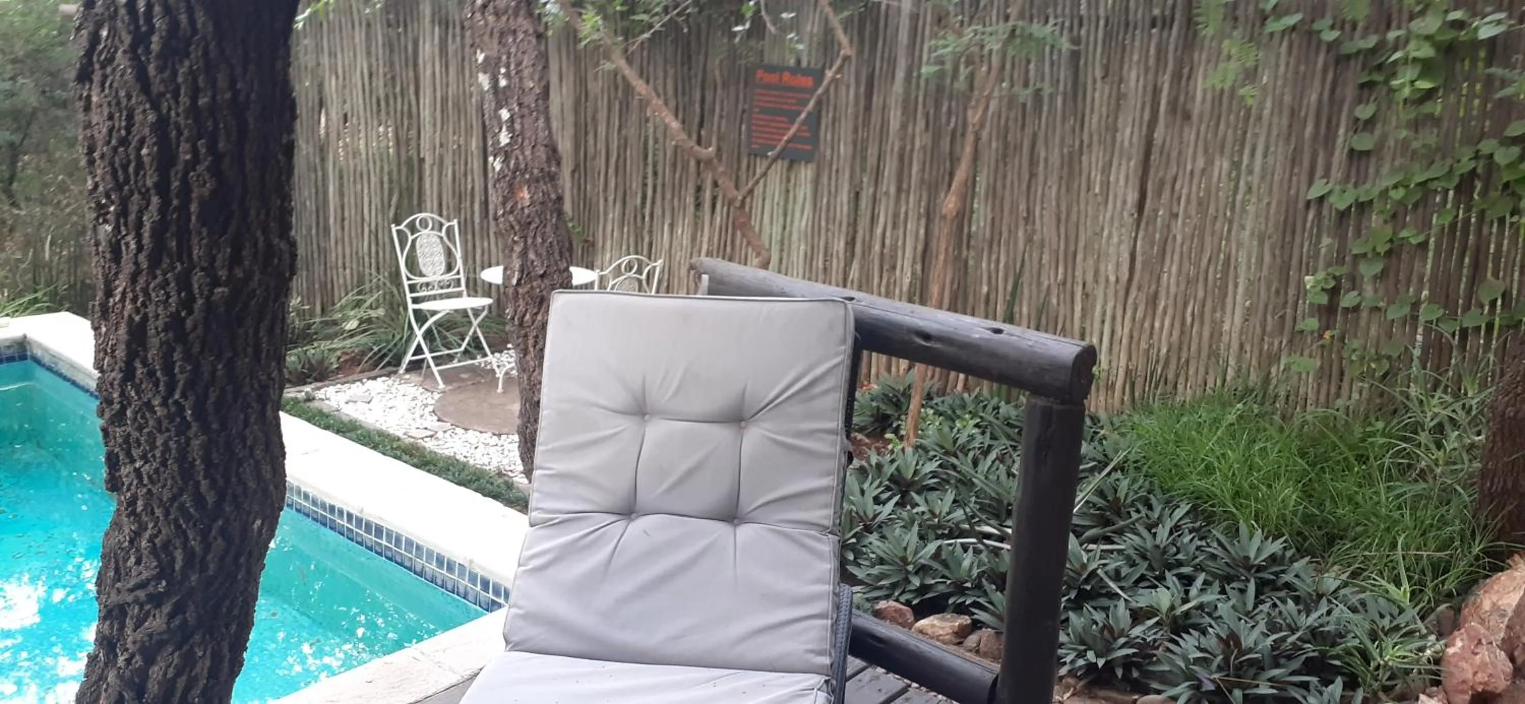 Swimming pool in Hoedspruit Raptors Lodge N16