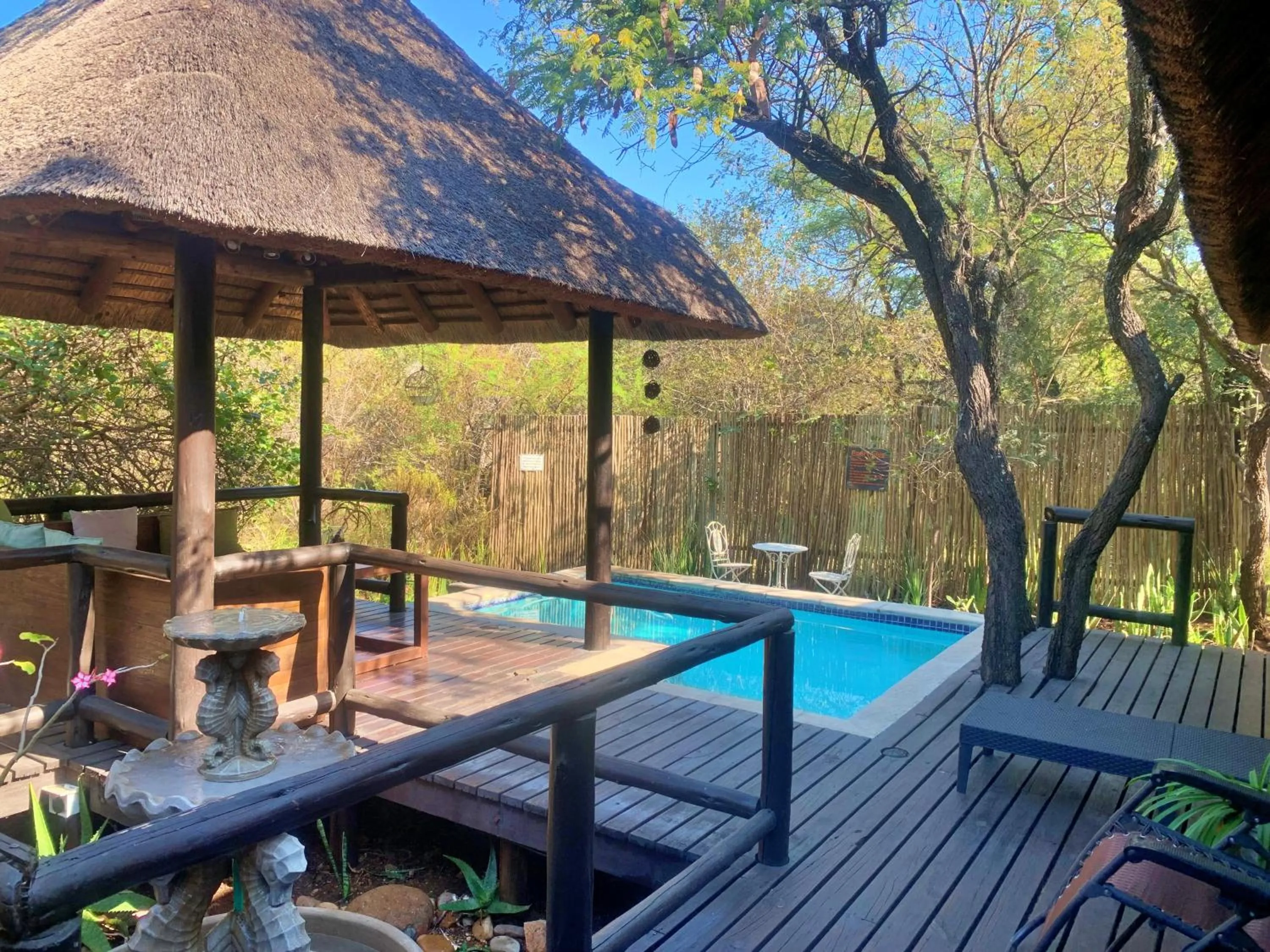 Pool view in Hoedspruit Raptors Lodge N16
