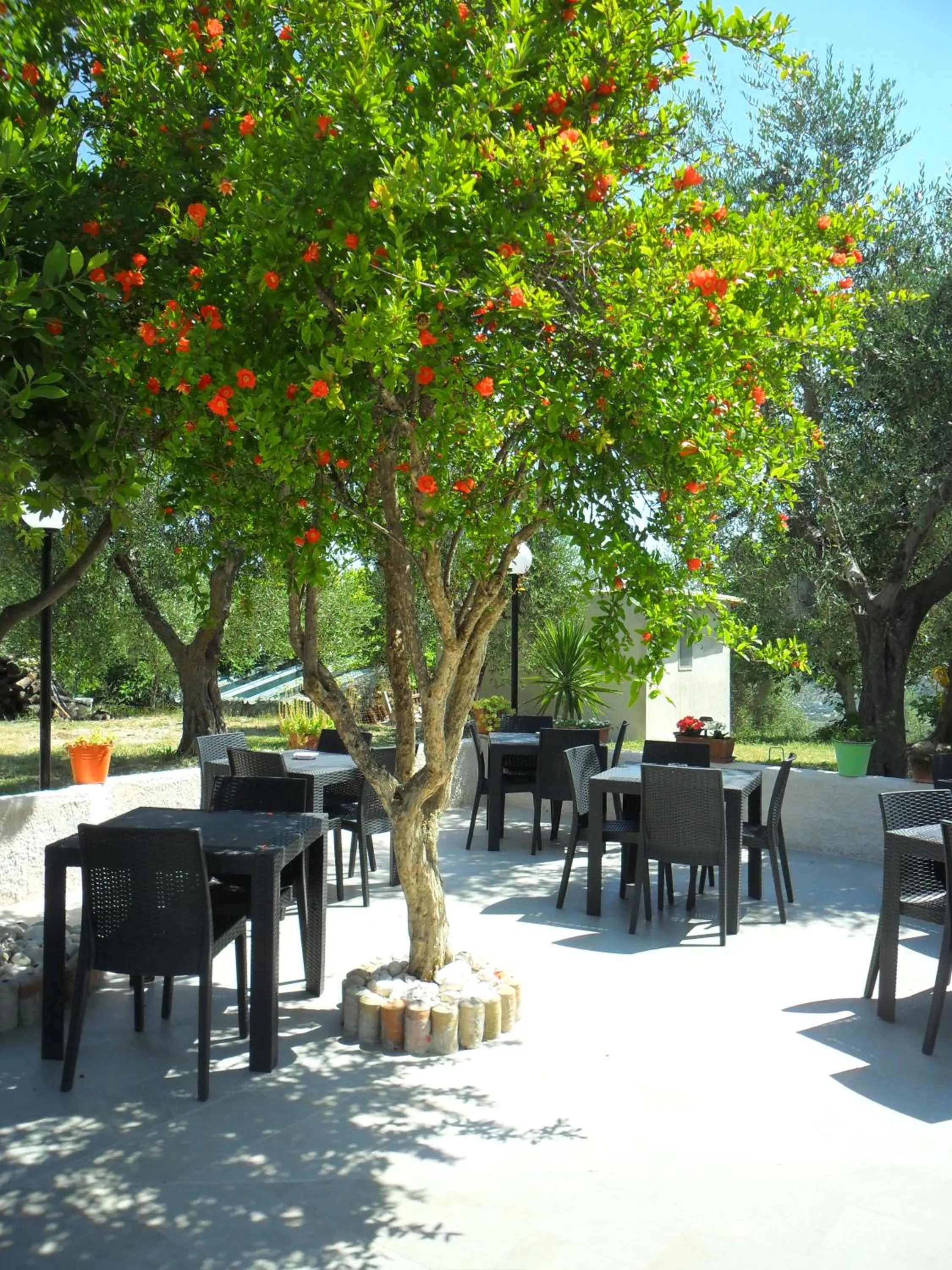 Garden in Osteria B&B Il Rifugio