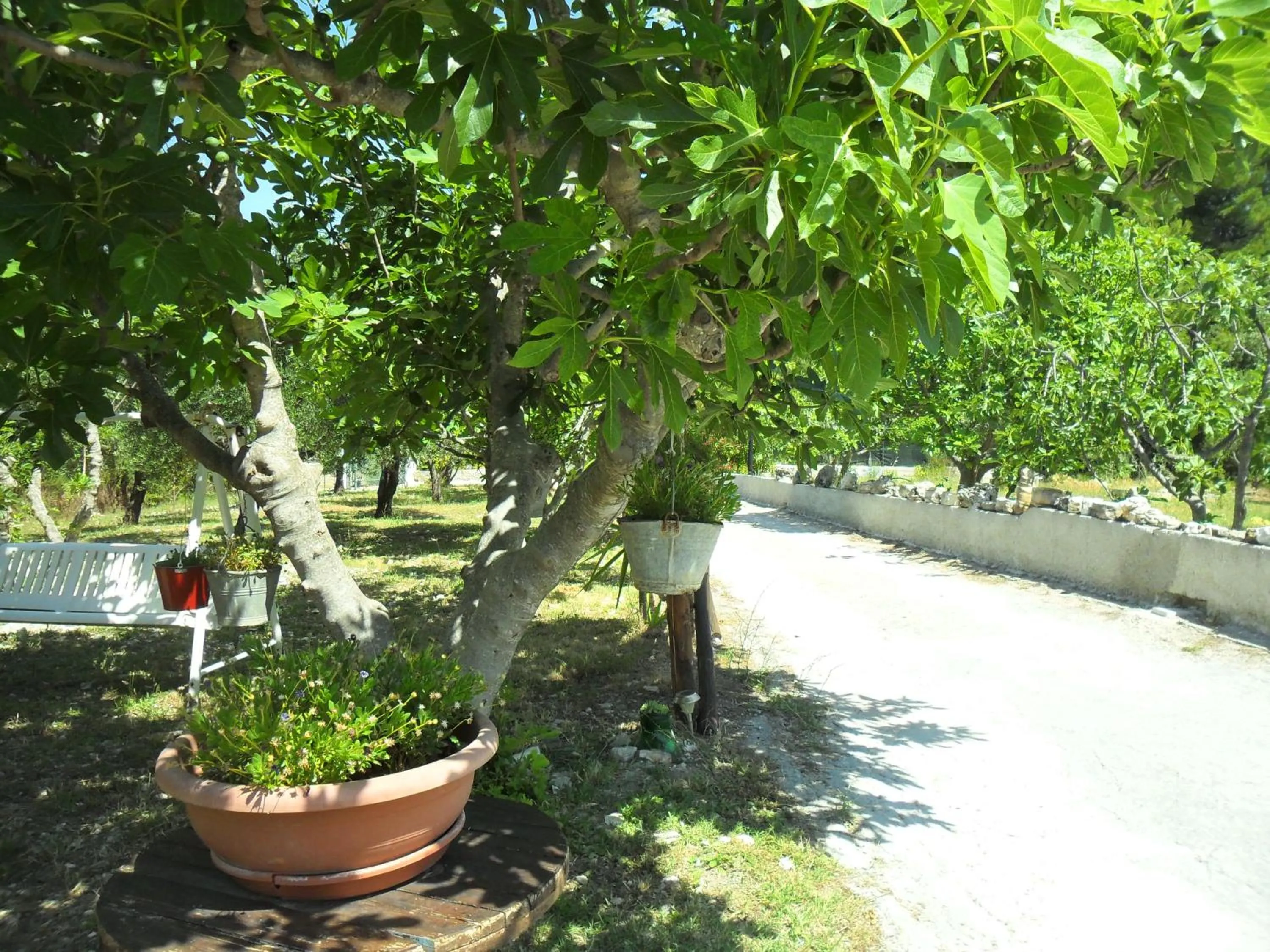 Natural landscape in Osteria B&B Il Rifugio