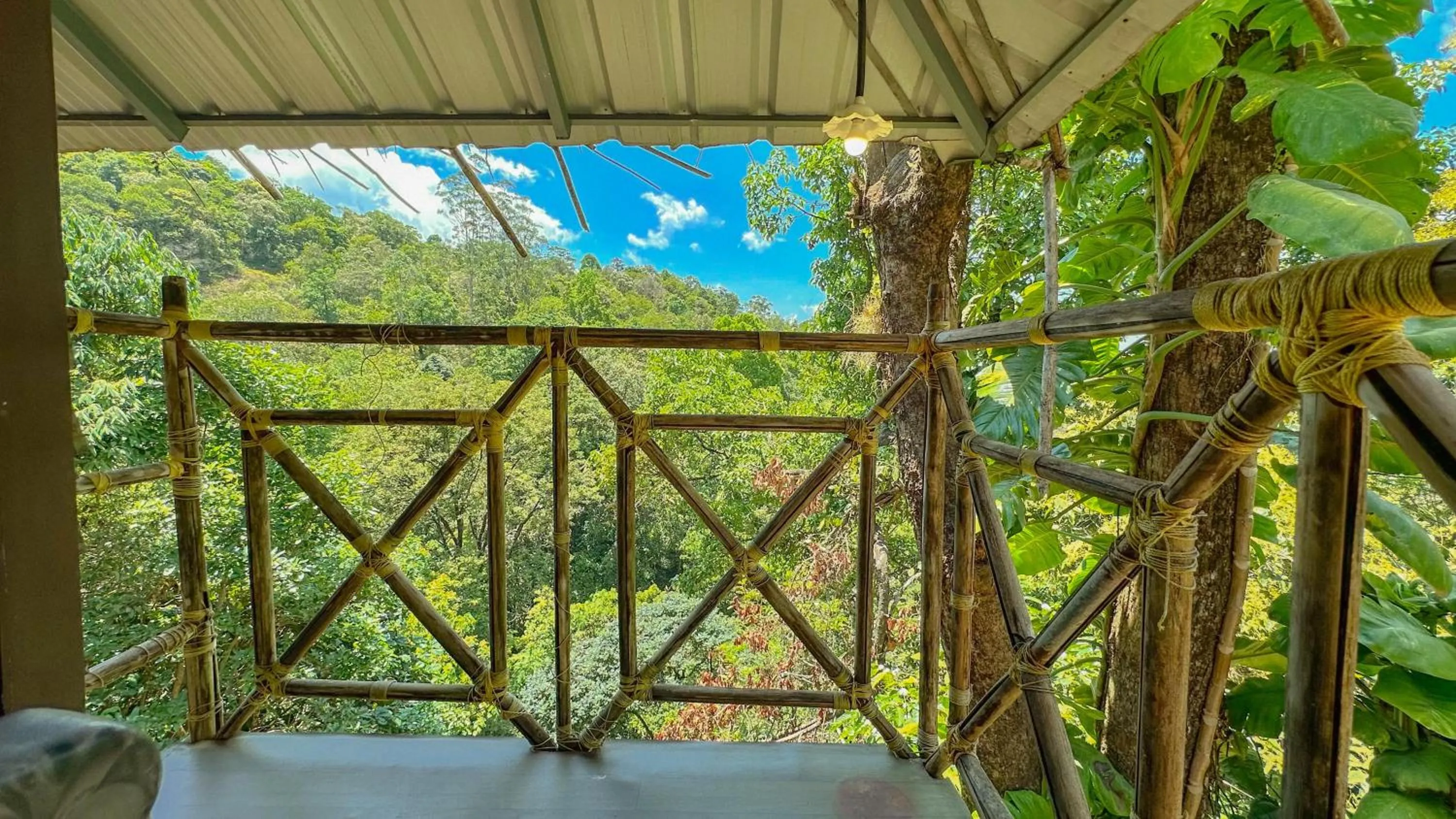 Day in The Heights Munnar