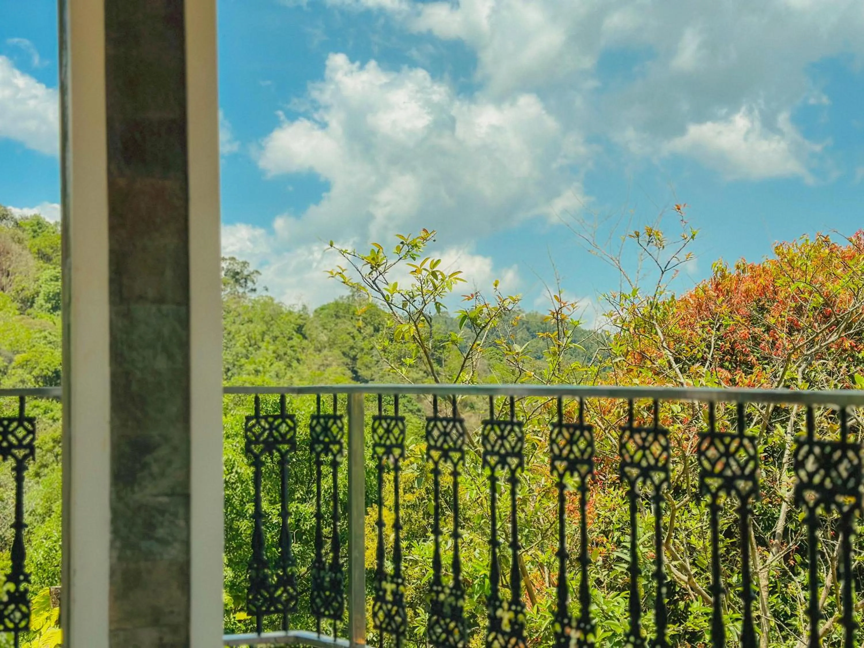 Property building in The Heights Munnar