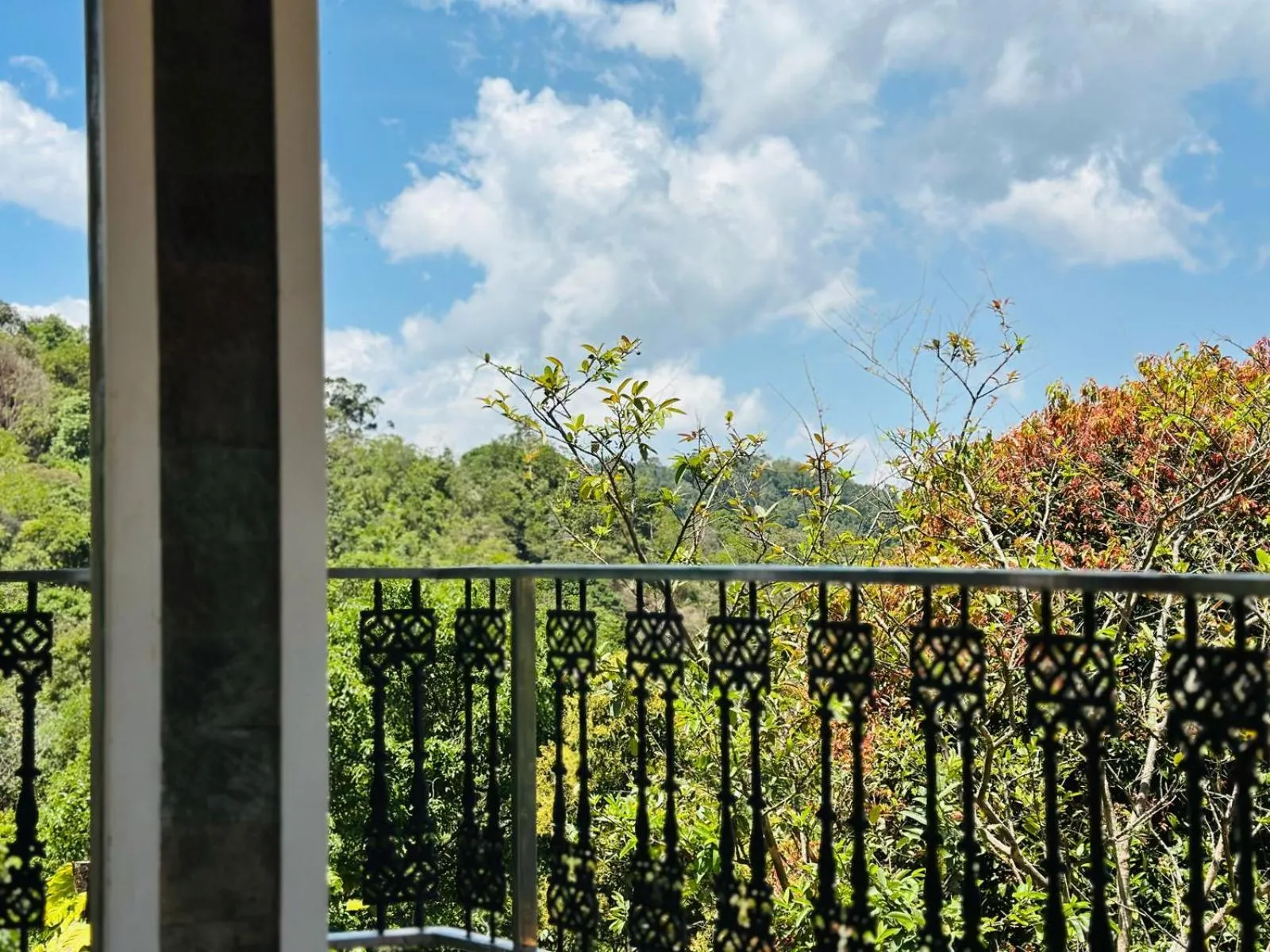 Natural landscape in The Heights Munnar