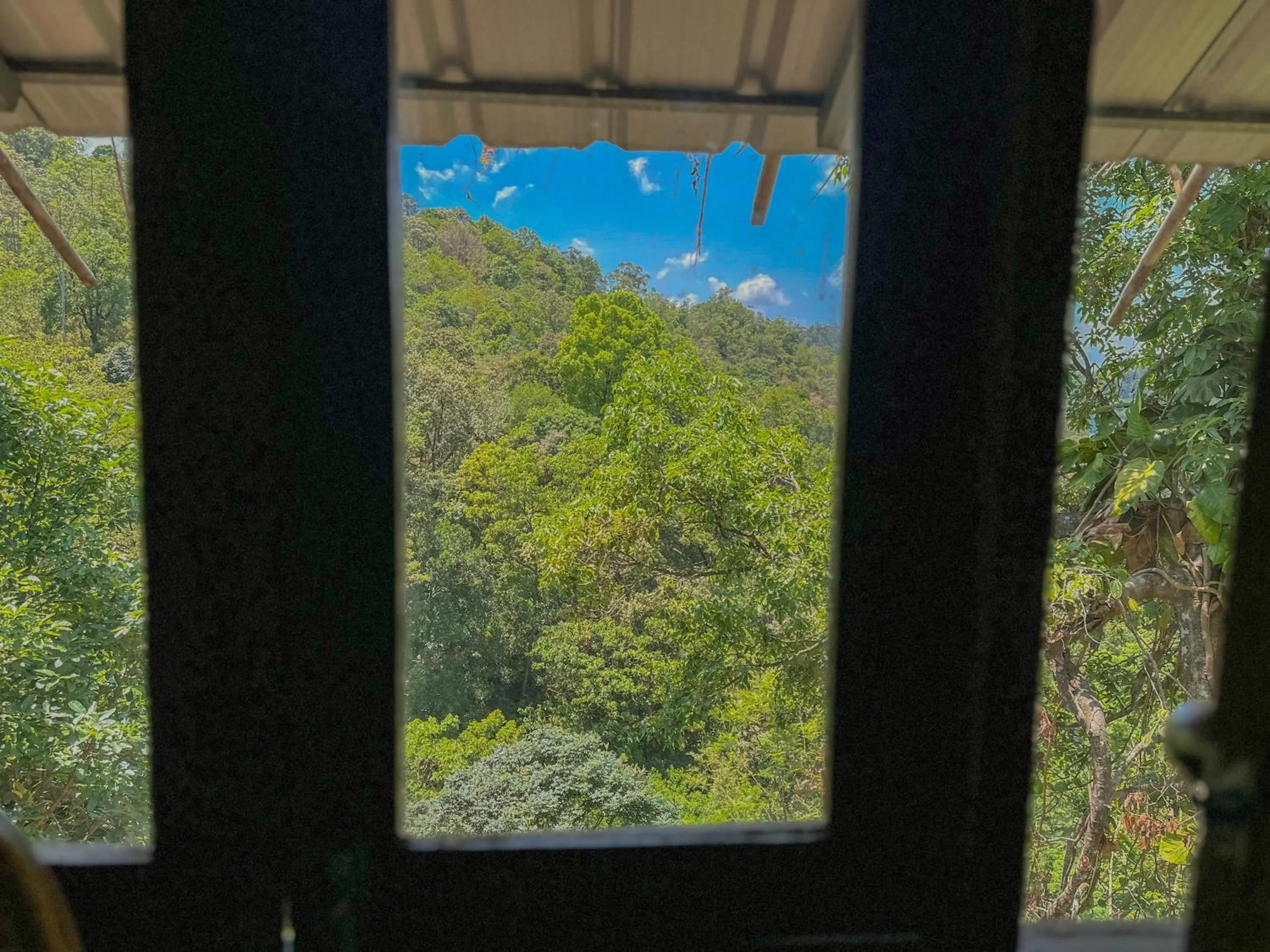 Natural landscape in The Heights Munnar