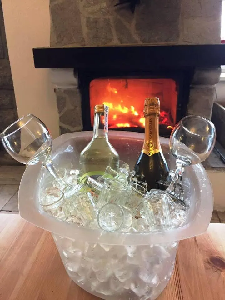 Alcoholic drinks in Chata Kosodrevina - Turistická ubytovňa