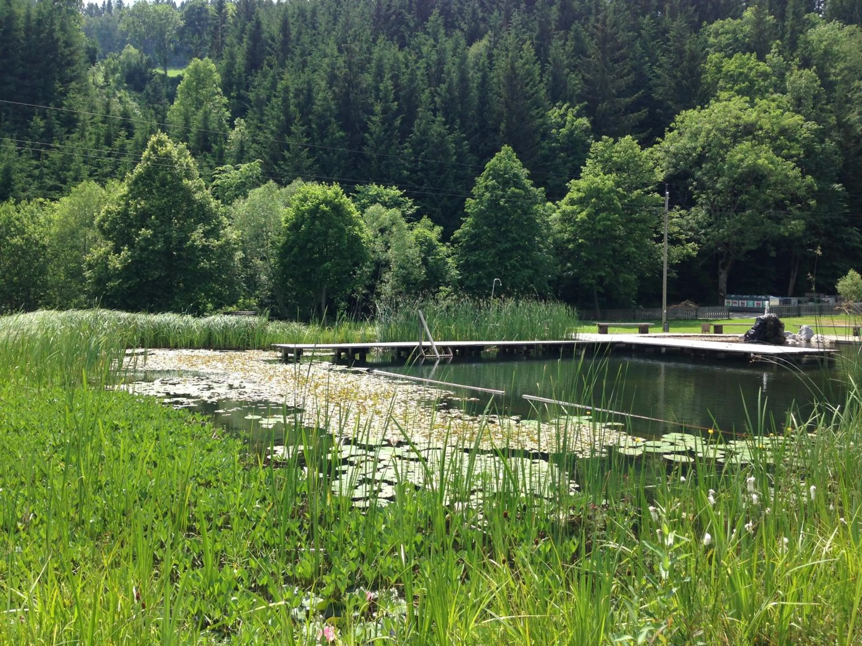 Area and facilities in Gasthof zur Post