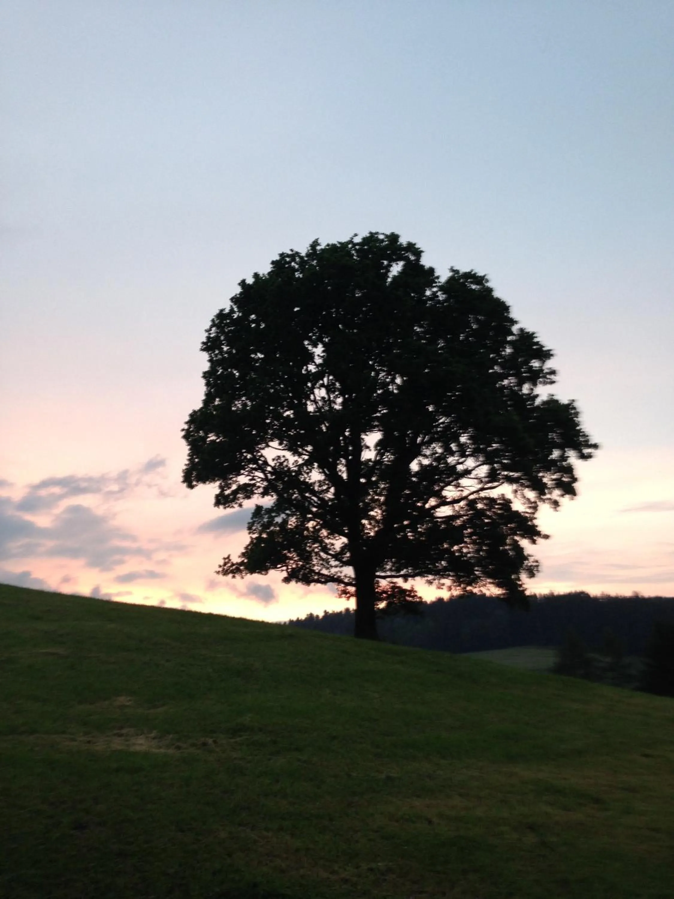Hiking in Gasthof zur Post
