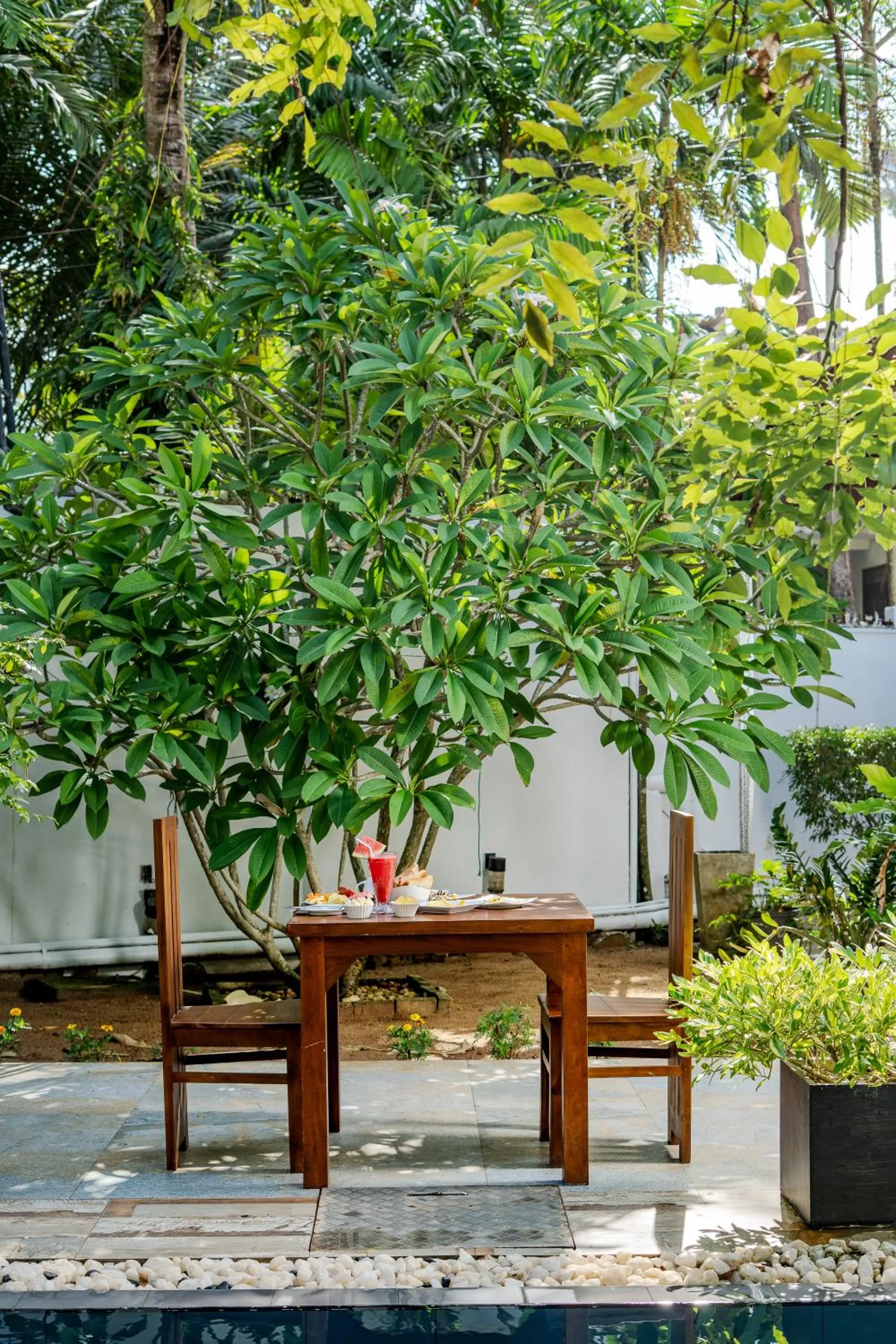 Garden in Villa Red Lobster