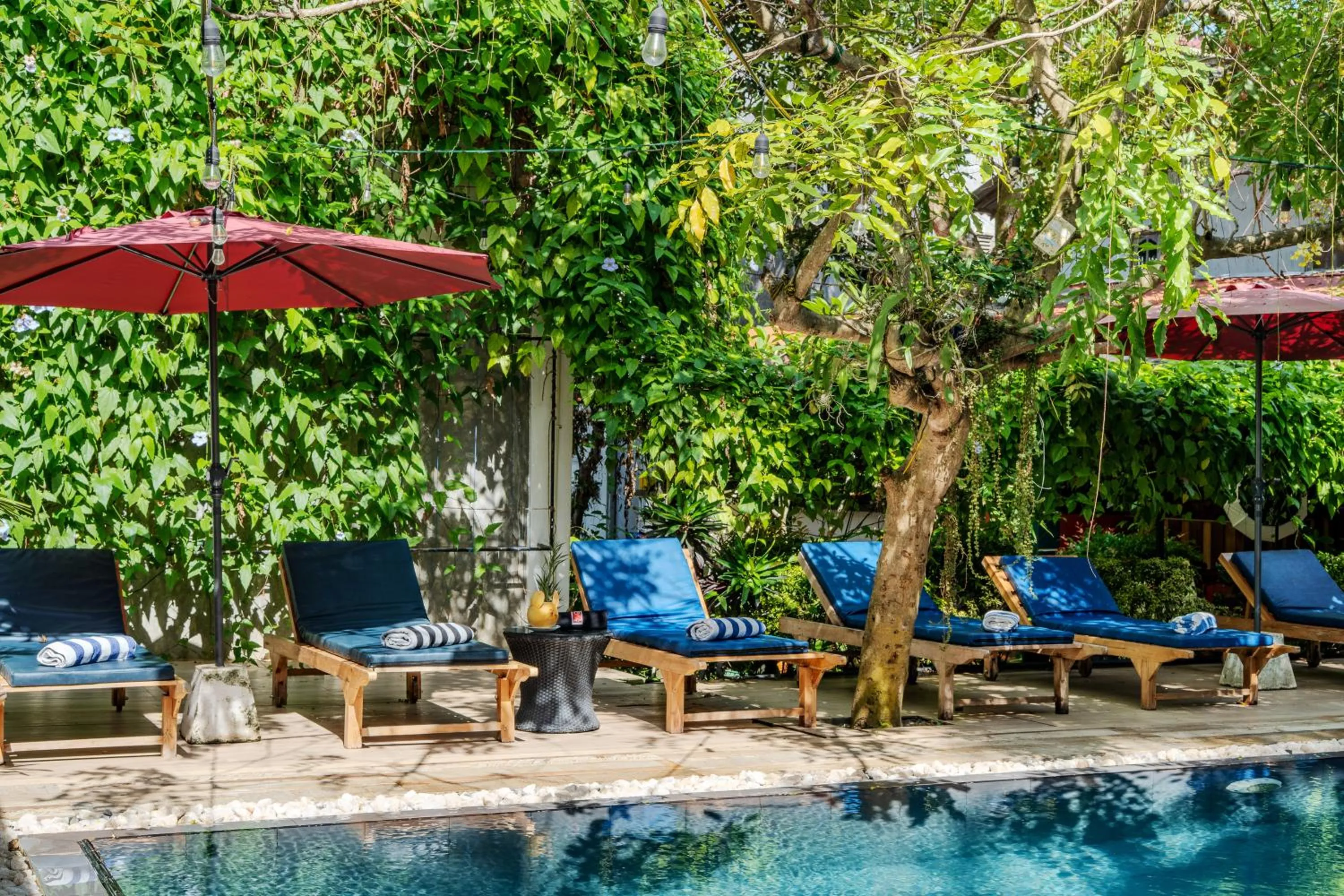 Day in Villa Red Lobster