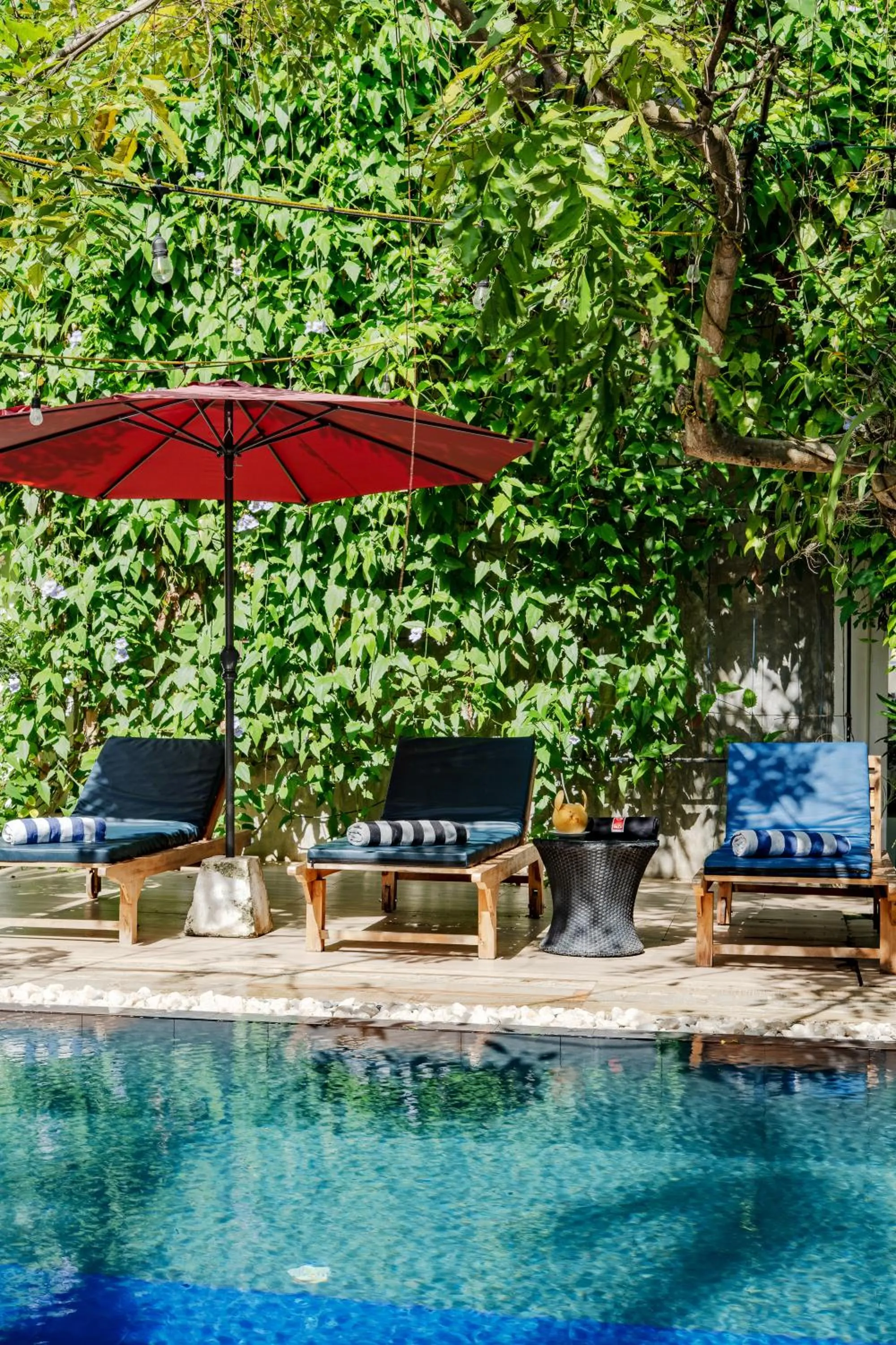 Day in Villa Red Lobster