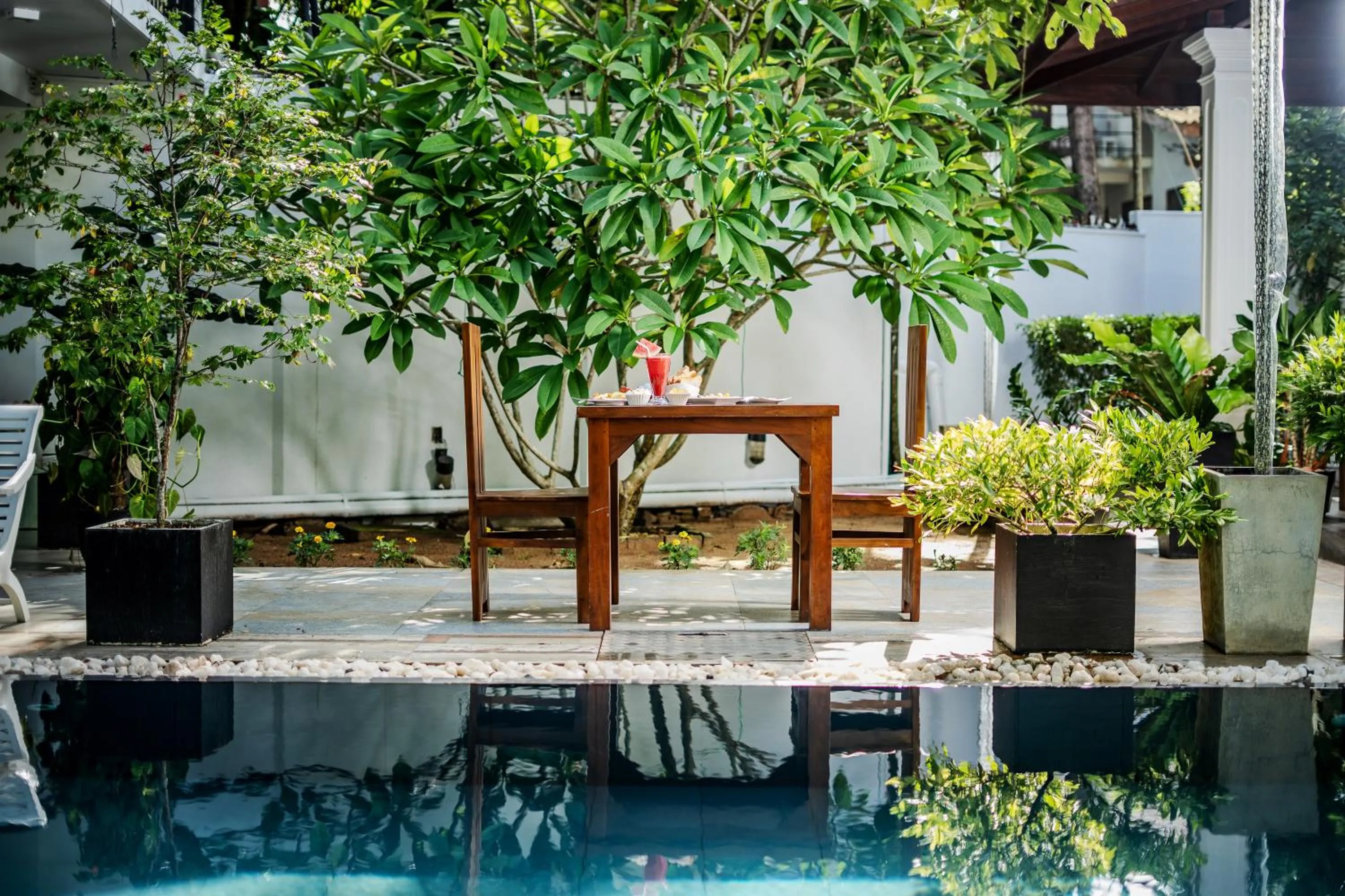 Garden view in Villa Red Lobster