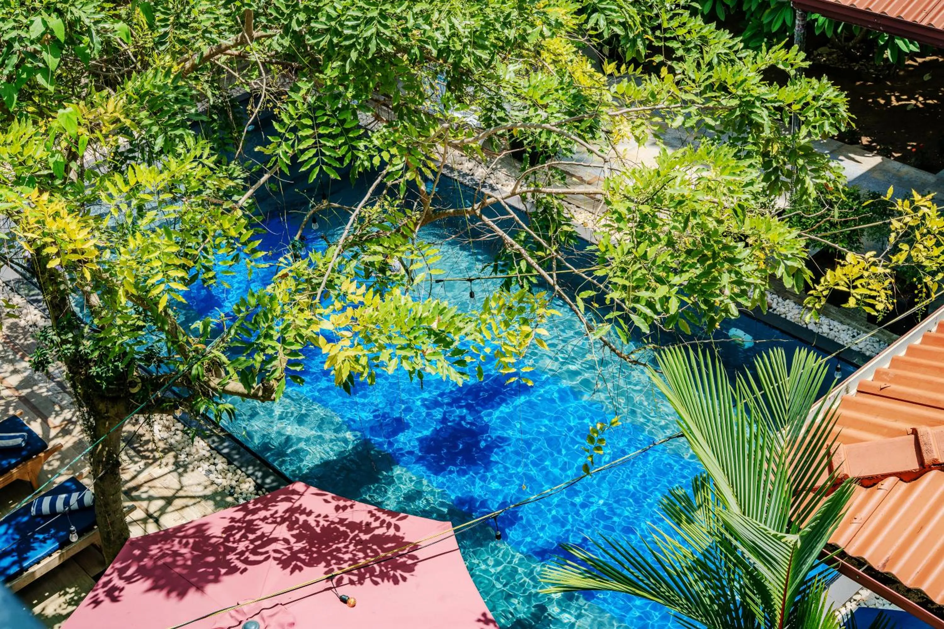 Day in Villa Red Lobster