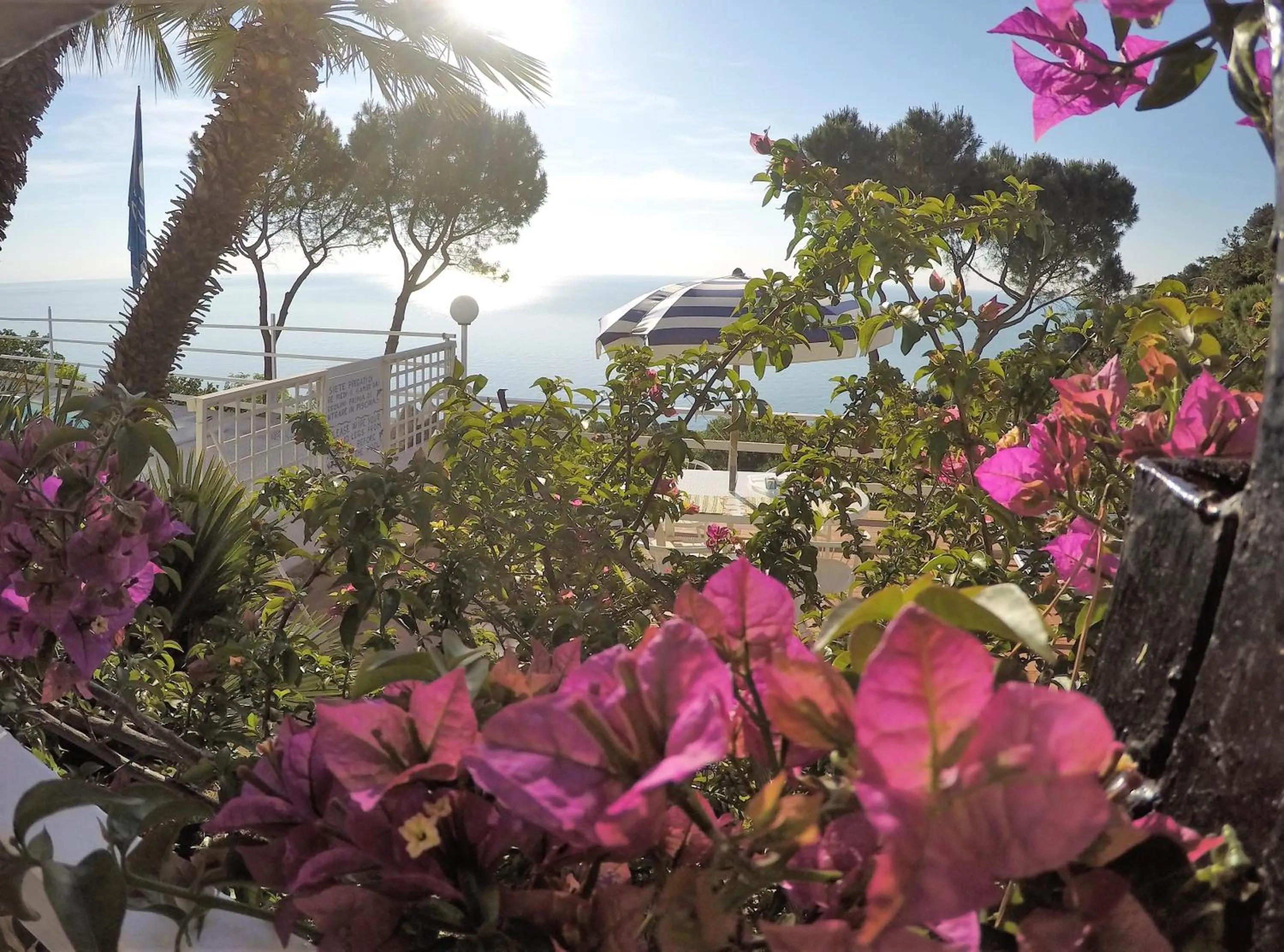 Garden in Sea View Sirolo di Amedeo