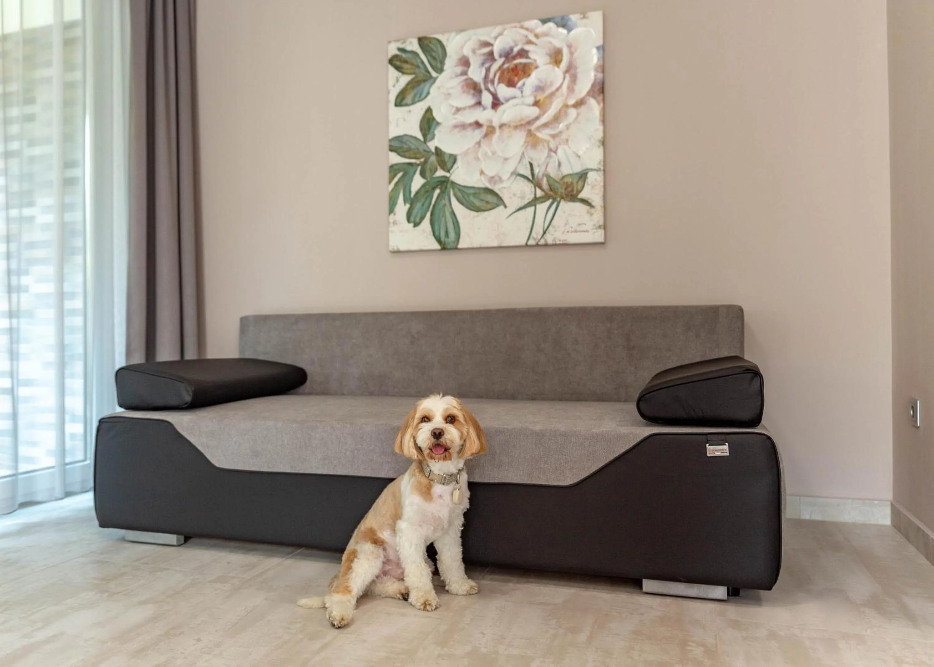 Maya Panzio-Rezidencia