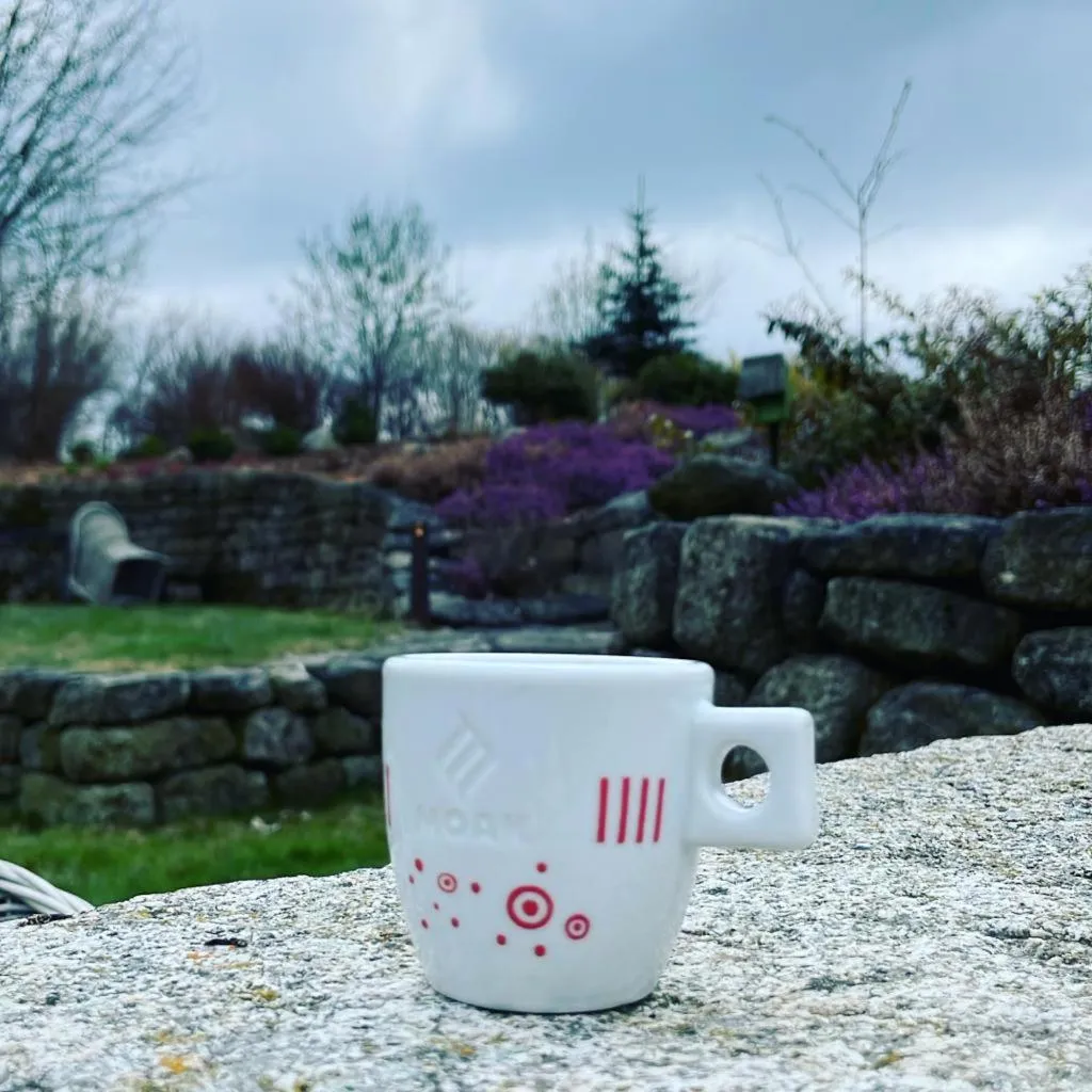 Garden view in Matějovec38