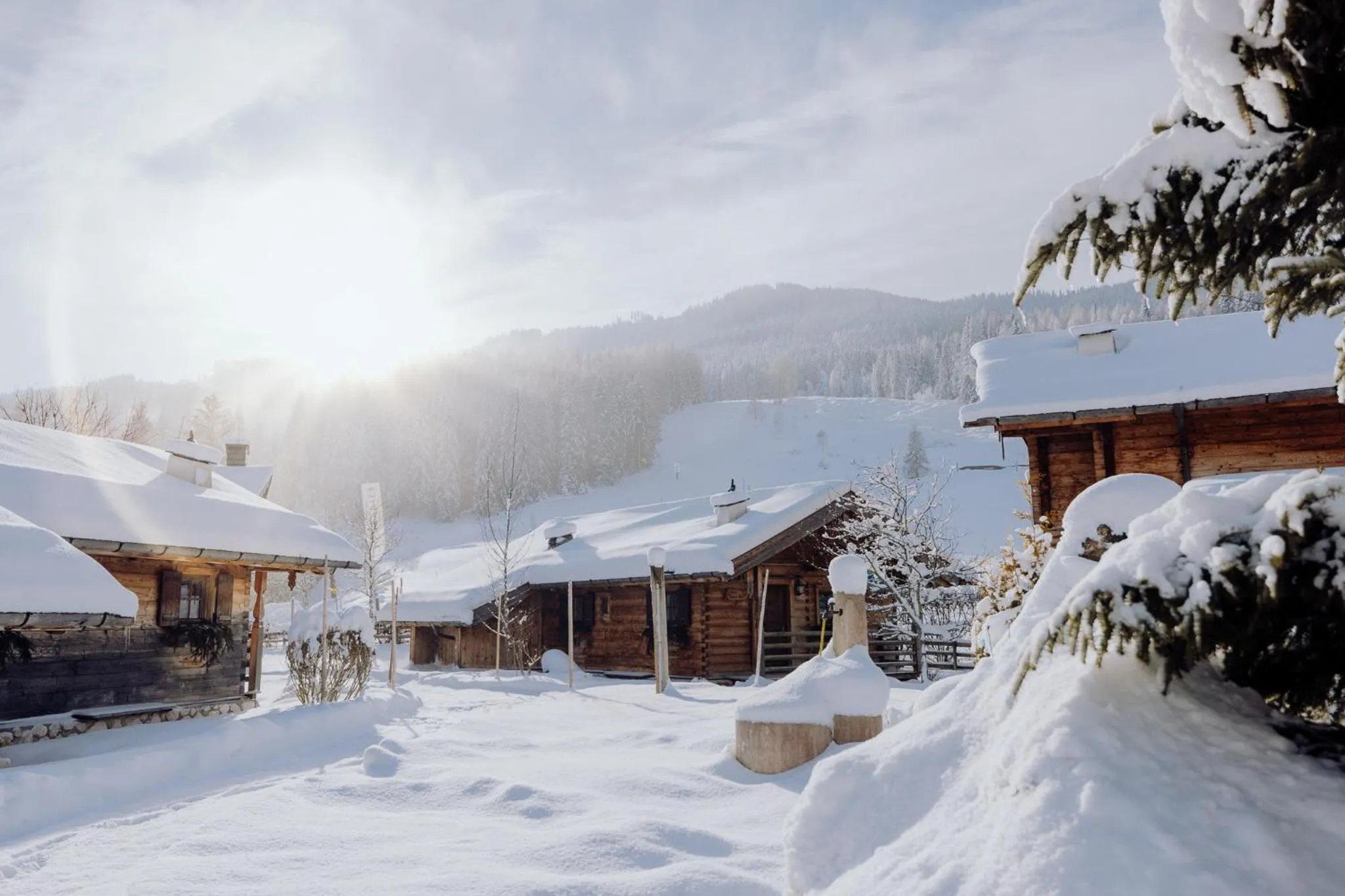 Property building in Naturresort PURADIES