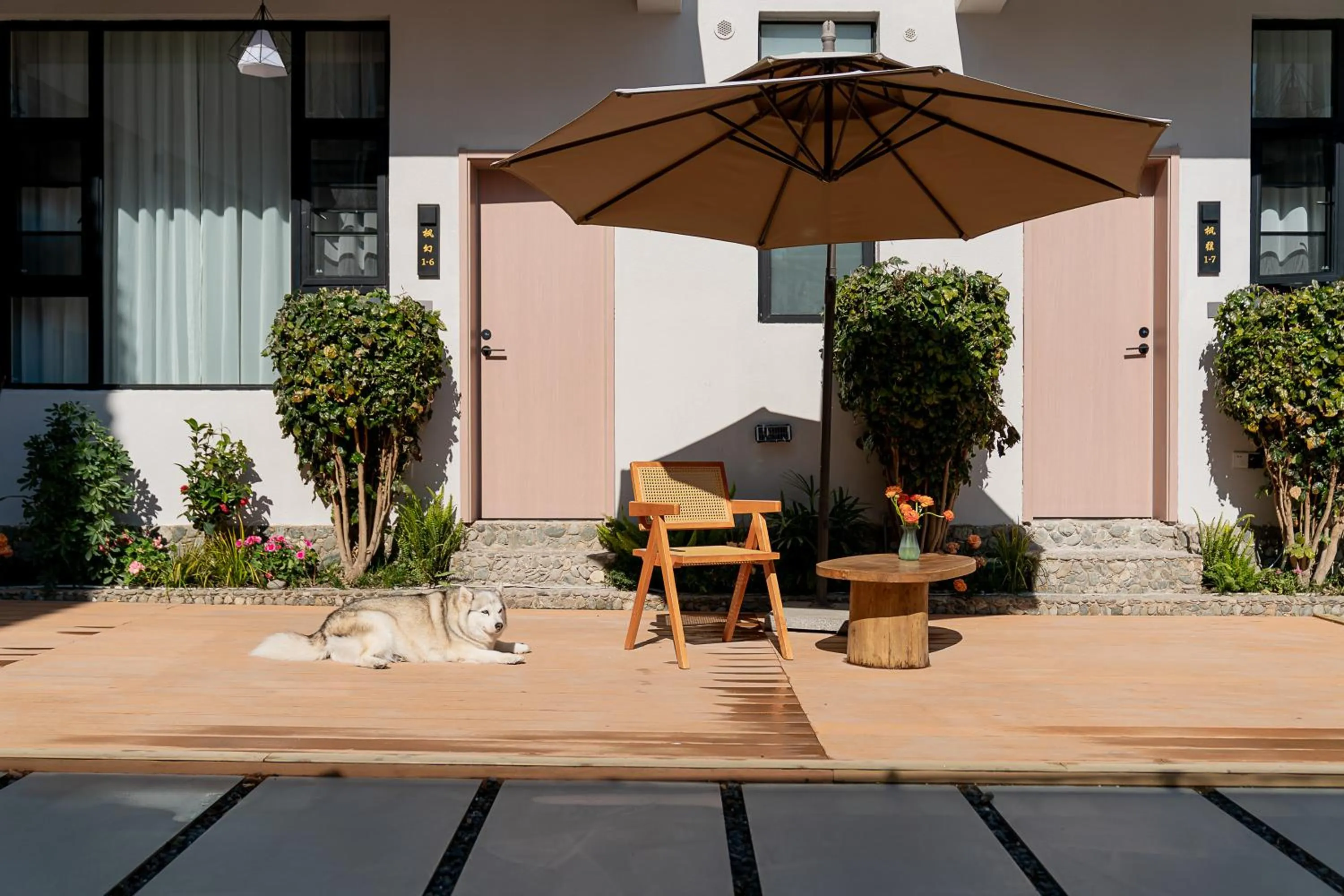 Day in Wuyi Whispering Maple