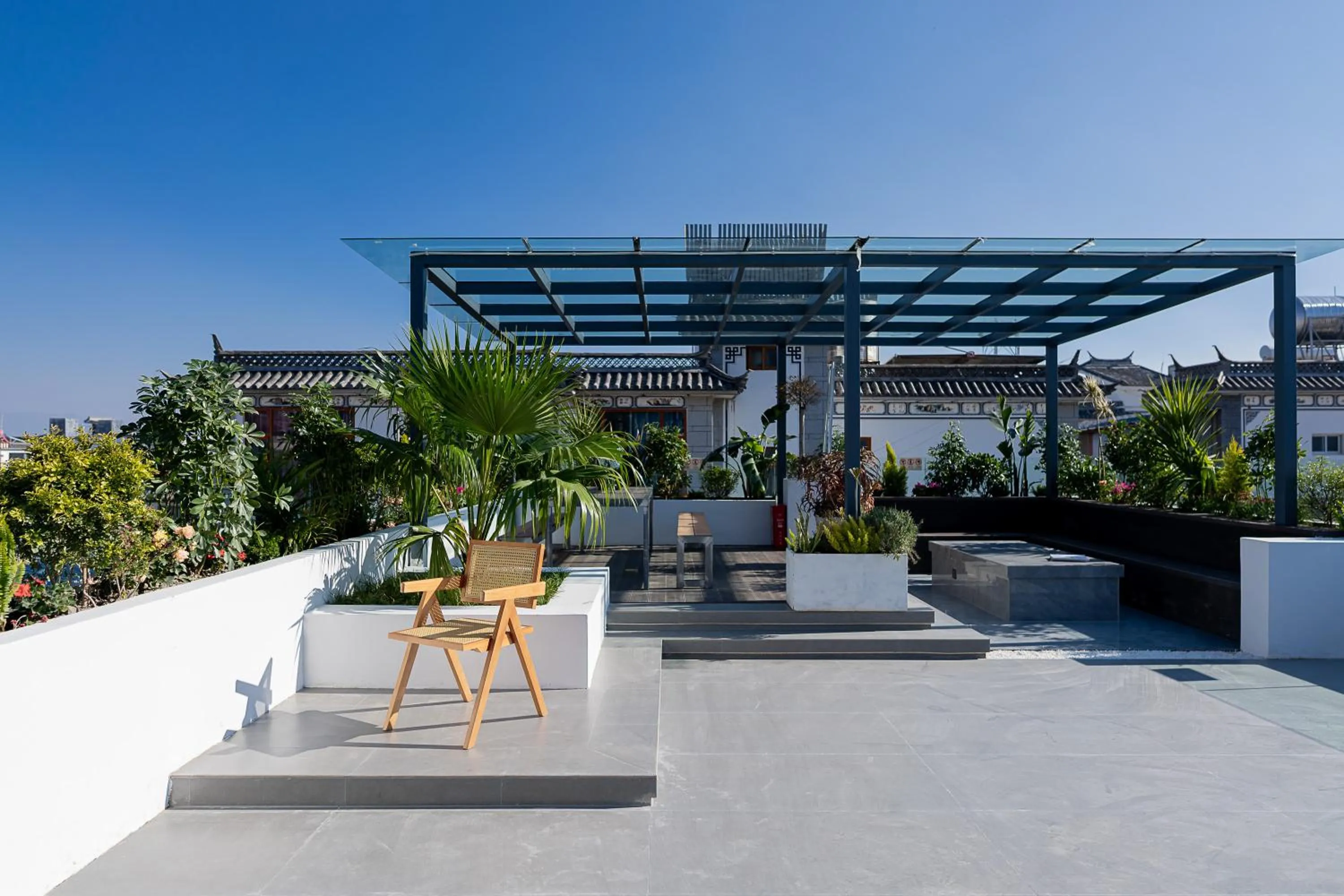 Day in Wuyi Whispering Maple