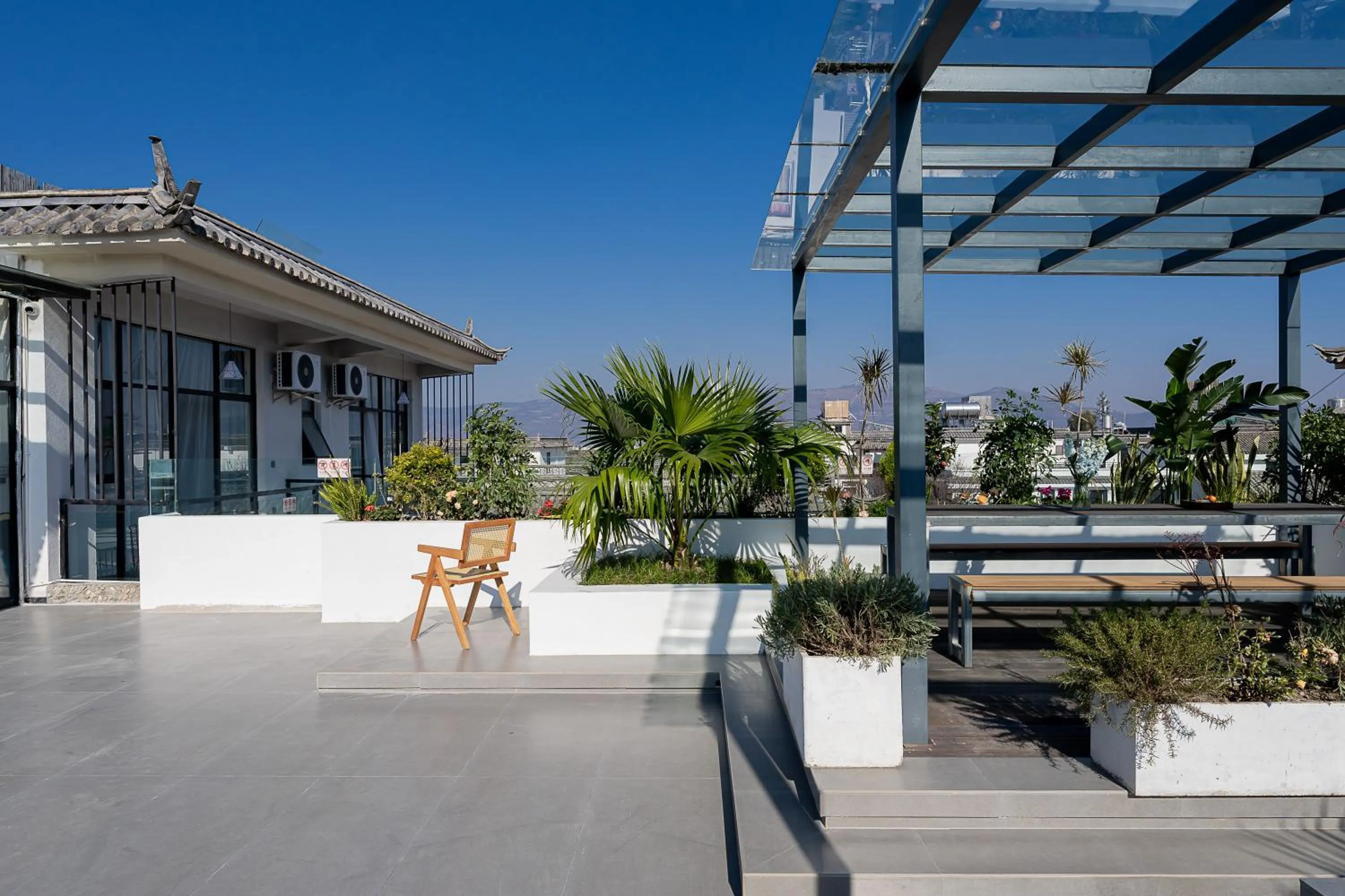 Day in Wuyi Whispering Maple