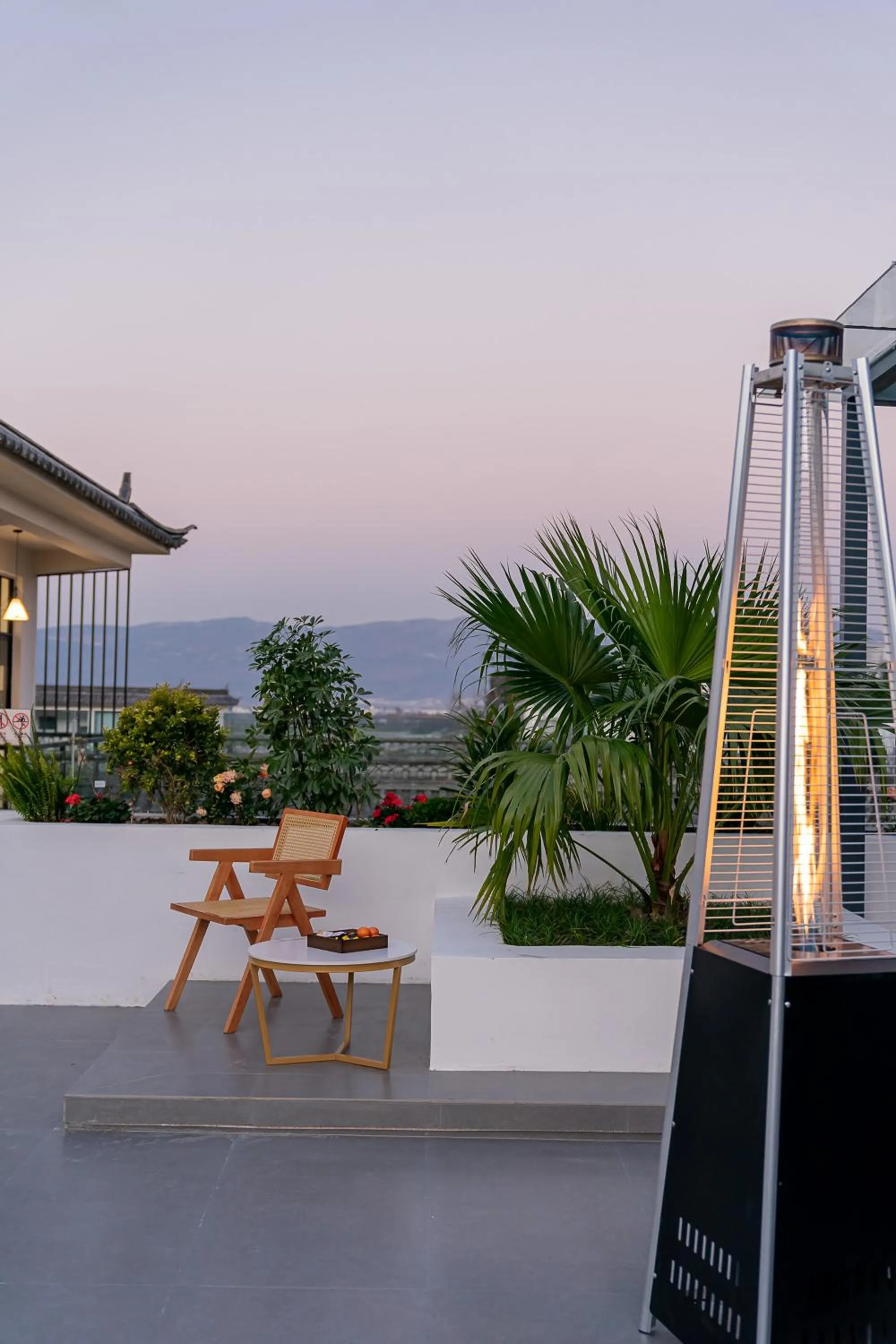 Day in Wuyi Whispering Maple