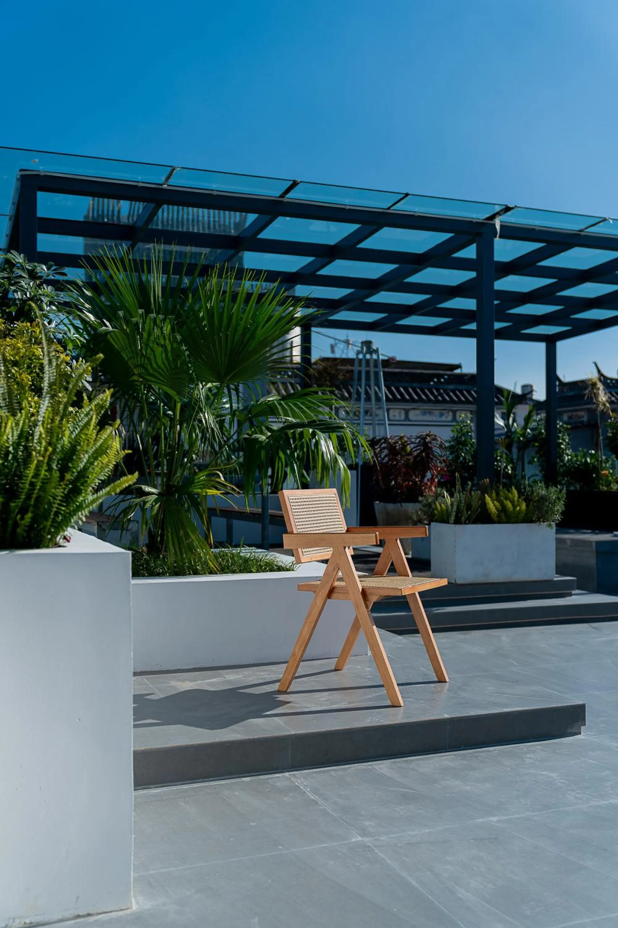 Day in Wuyi Whispering Maple