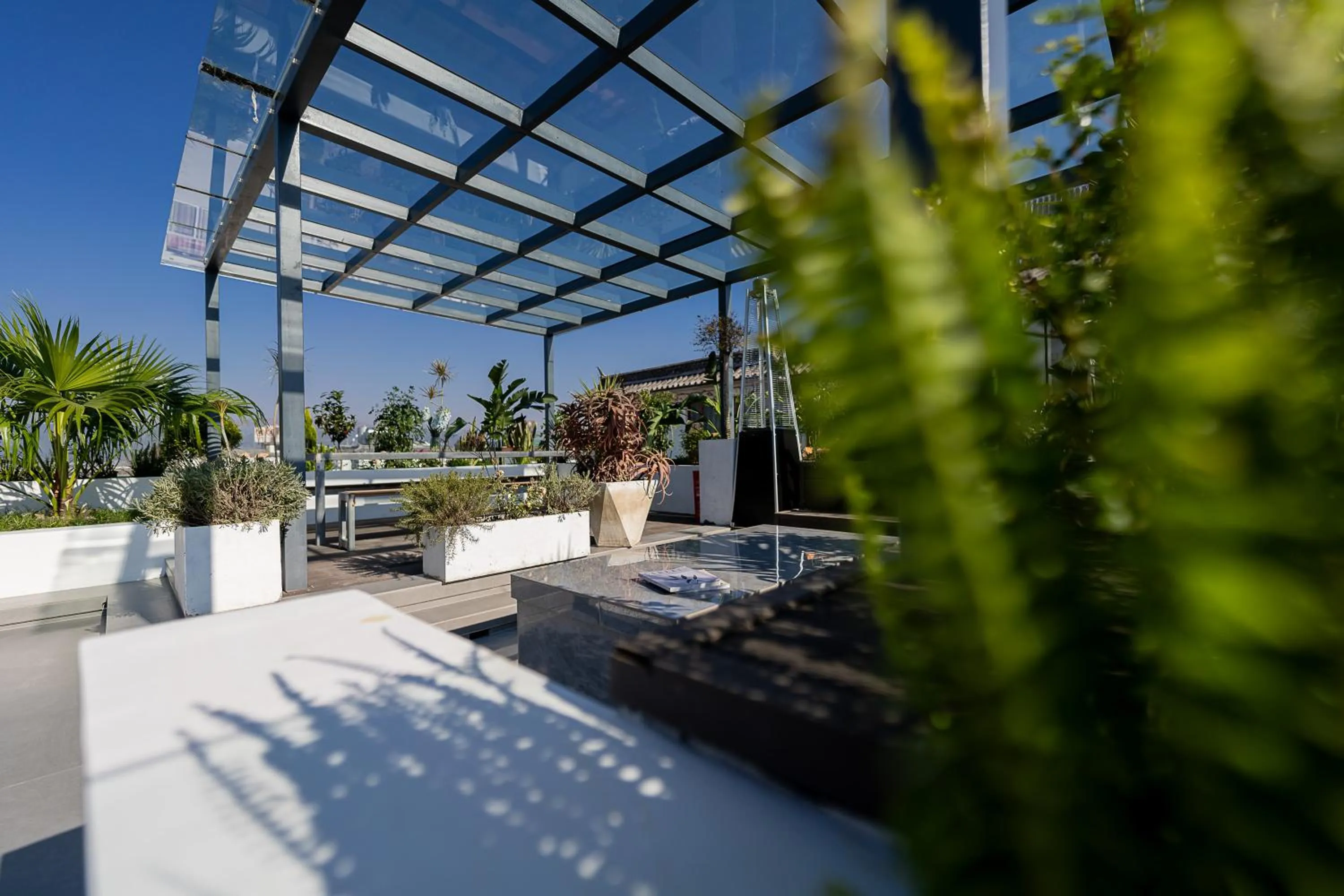 Day in Wuyi Whispering Maple