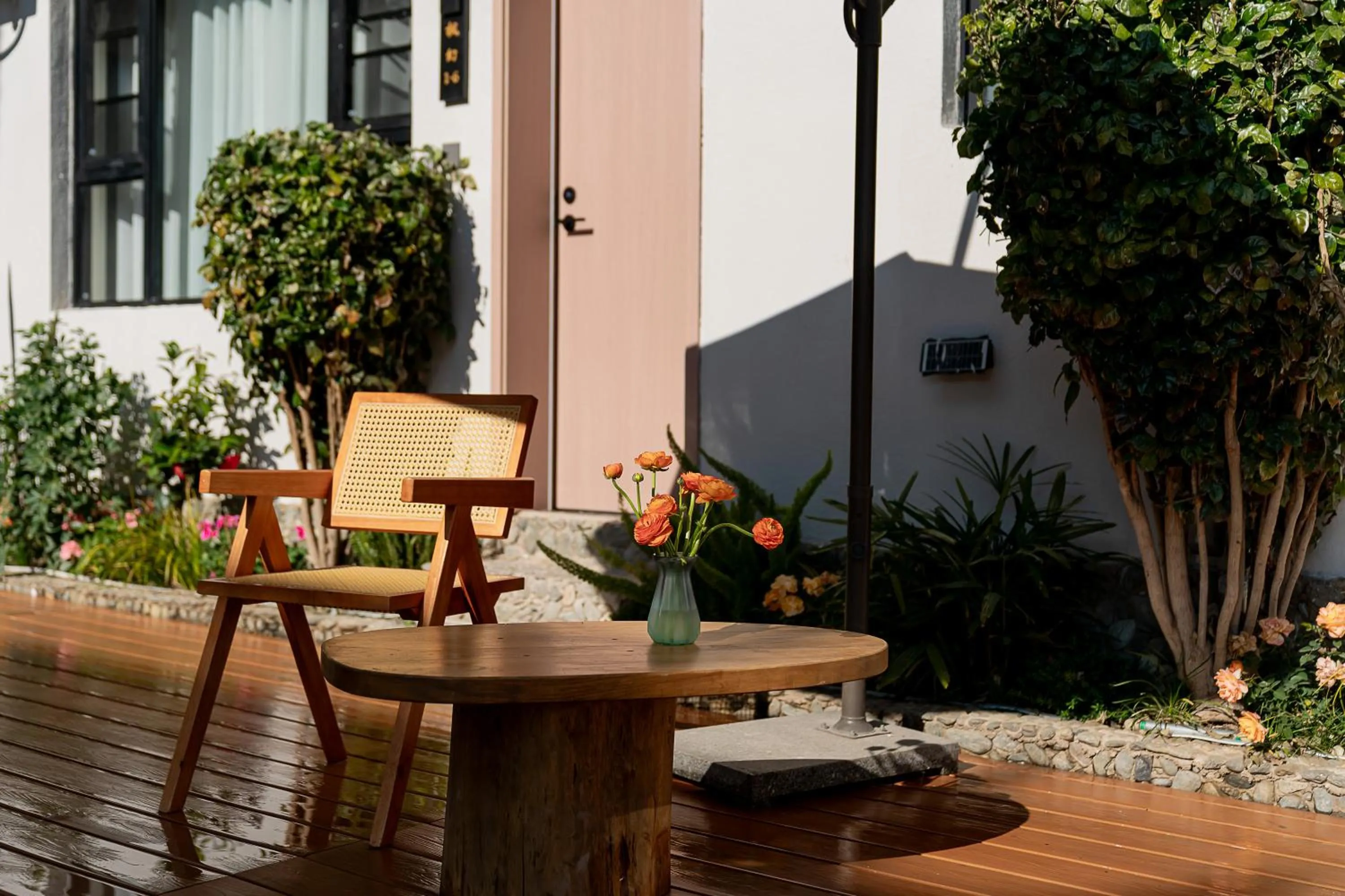 Day in Wuyi Whispering Maple