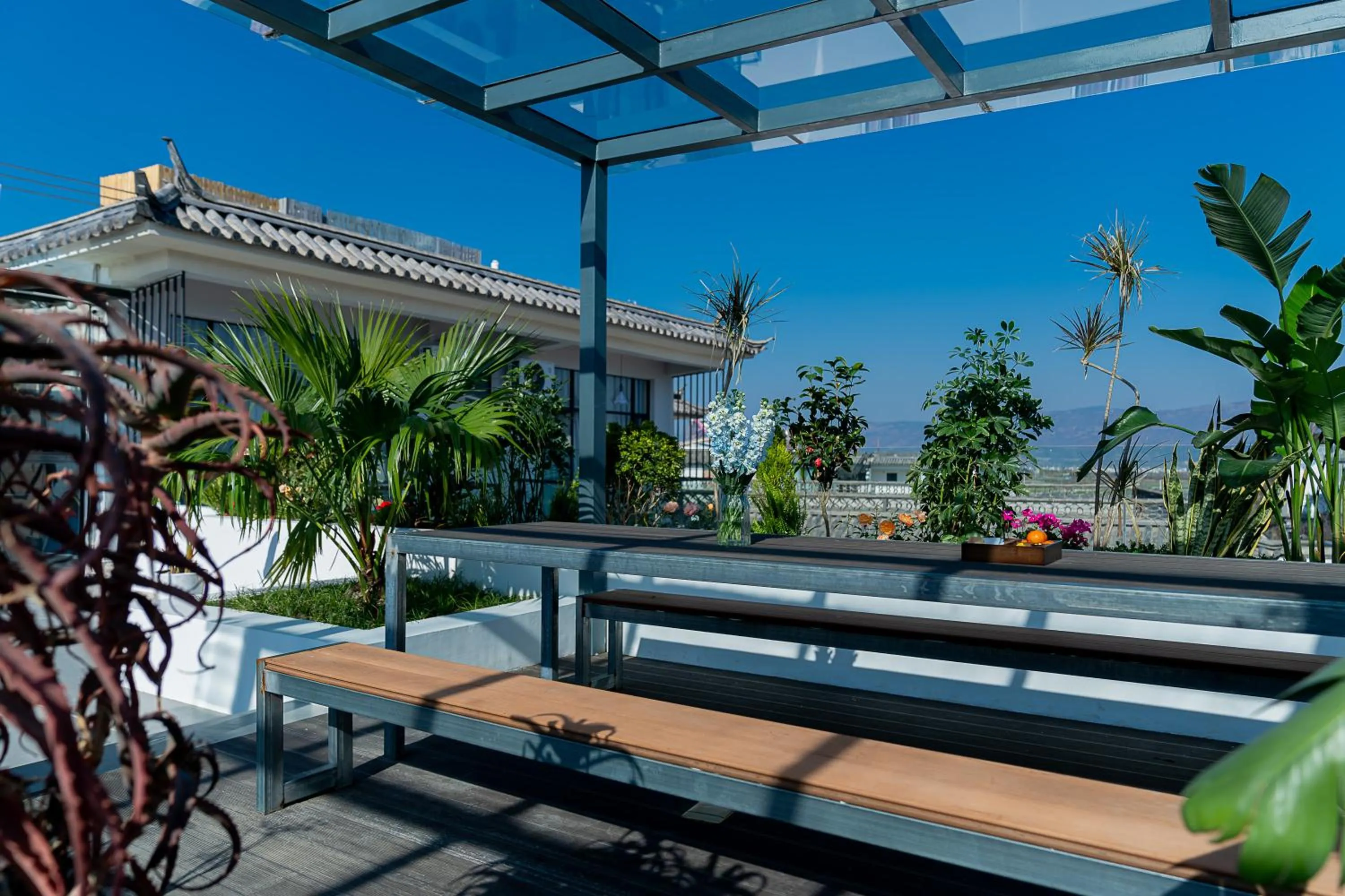 Day in Wuyi Whispering Maple