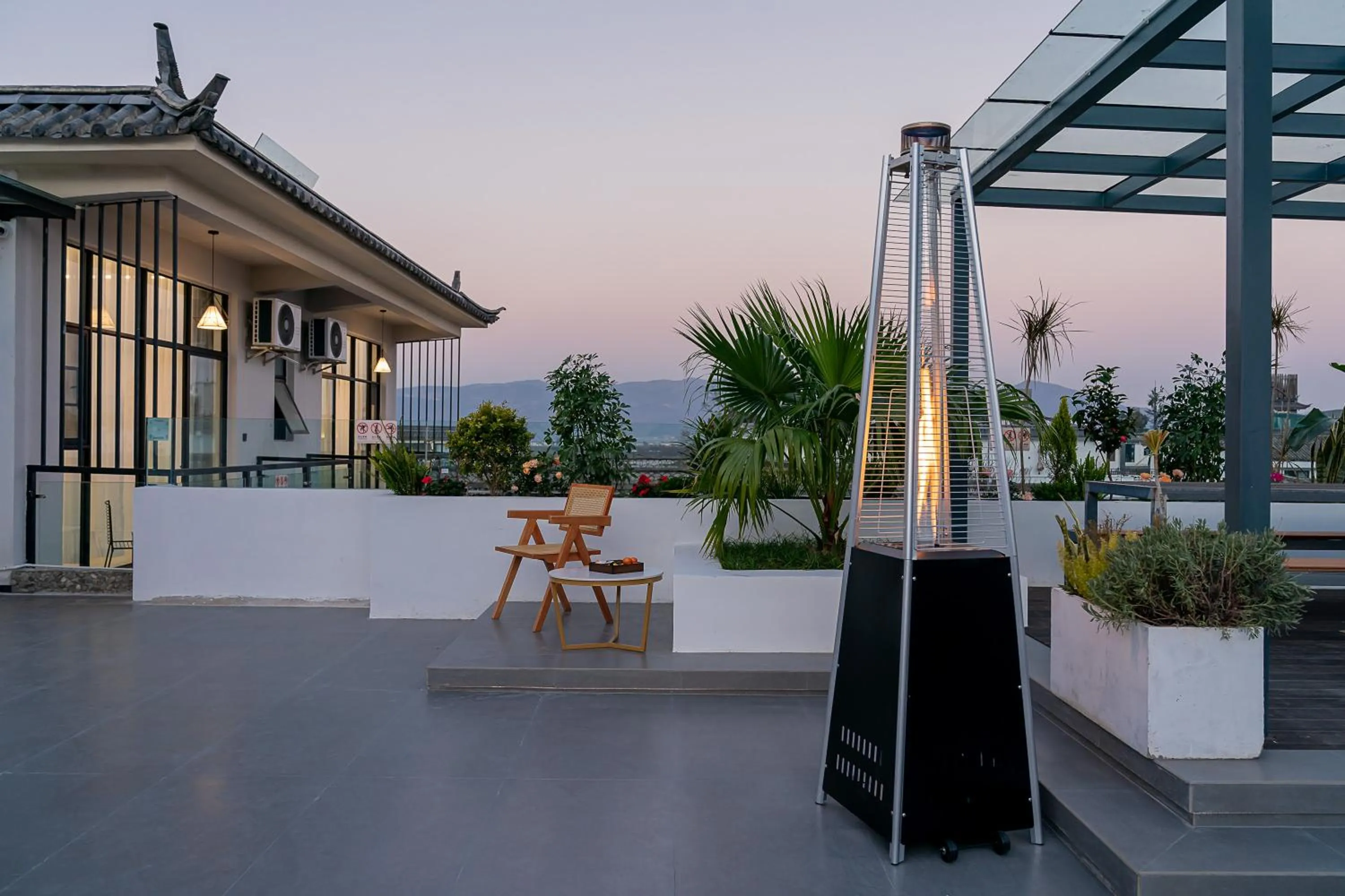 Day in Wuyi Whispering Maple