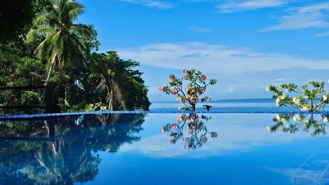 Swimming pool in Nayara Villa Desa Budo