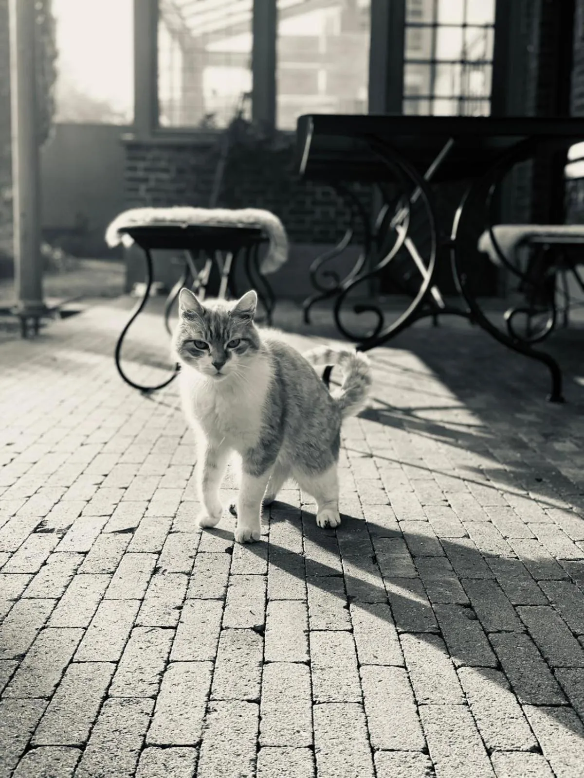 Guesthouse 't Goed Leven