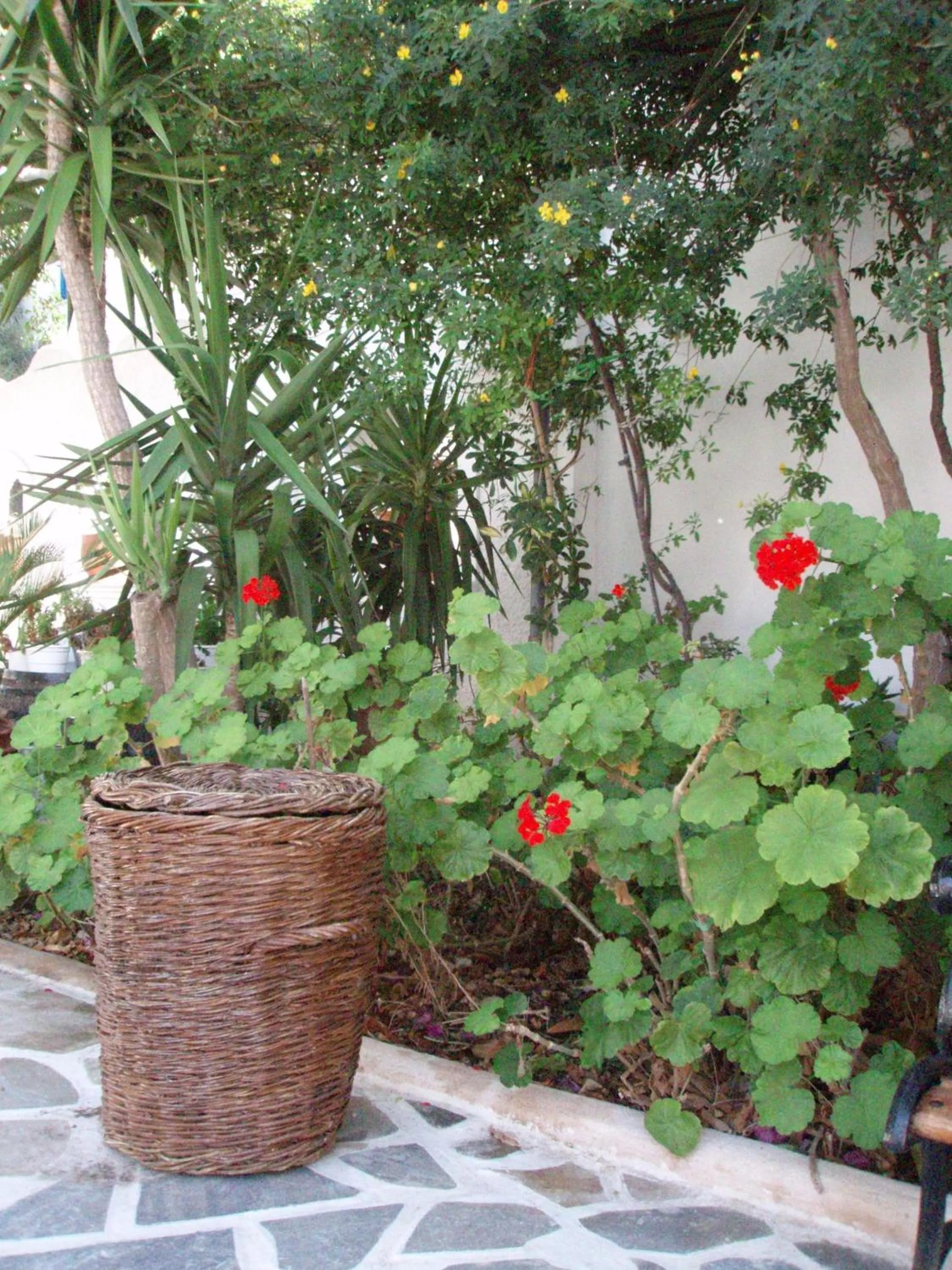 Garden in Hotel Matina