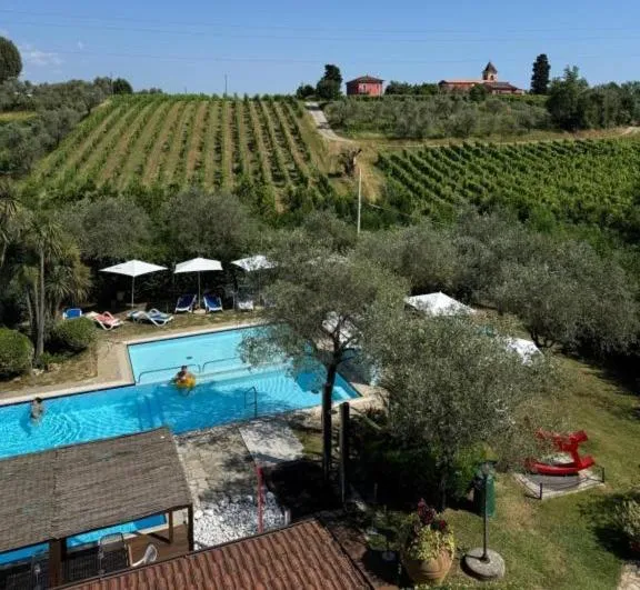 Swimming pool in Sarzana Park Hotel