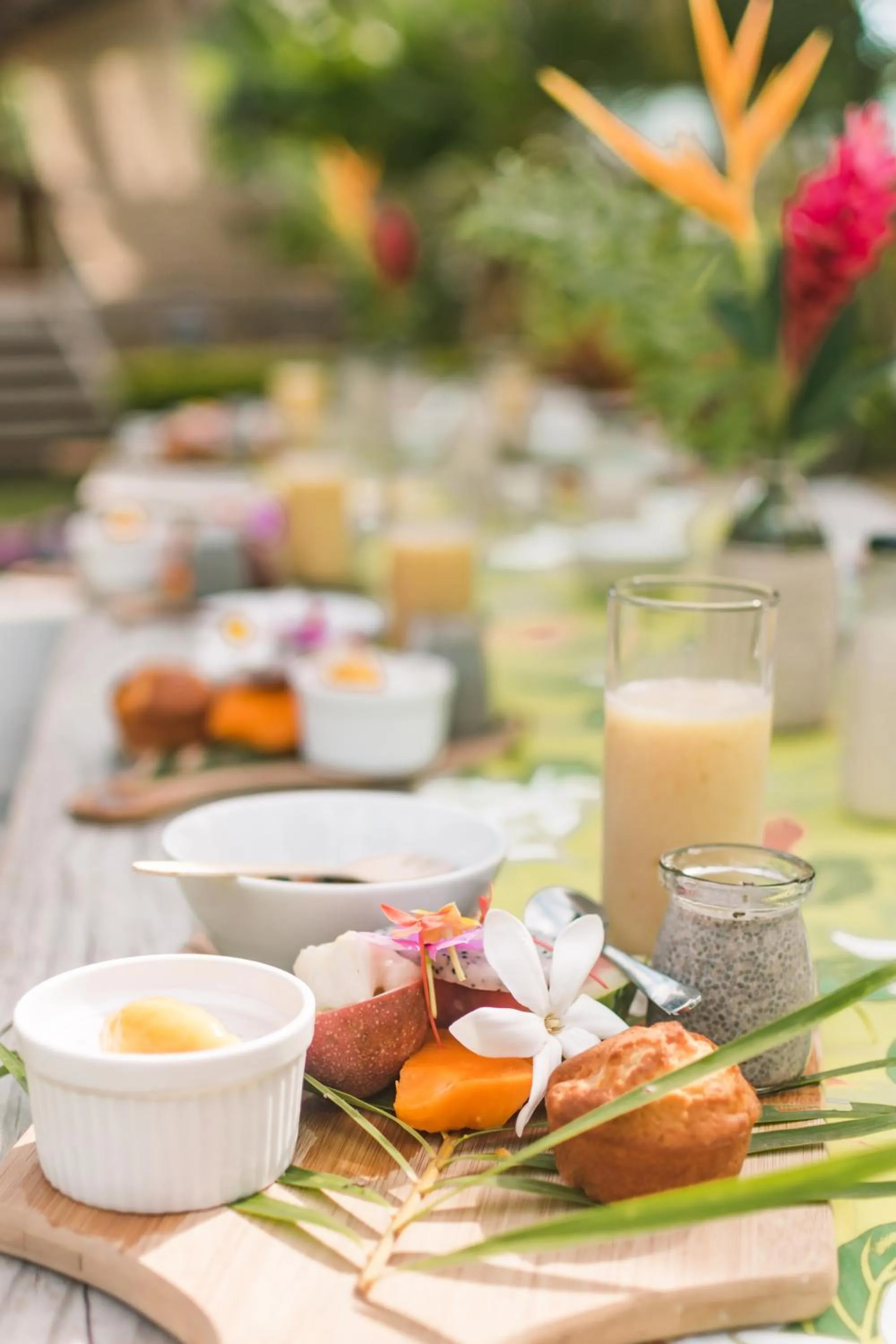 Garden in Ikurangi Eco Retreat